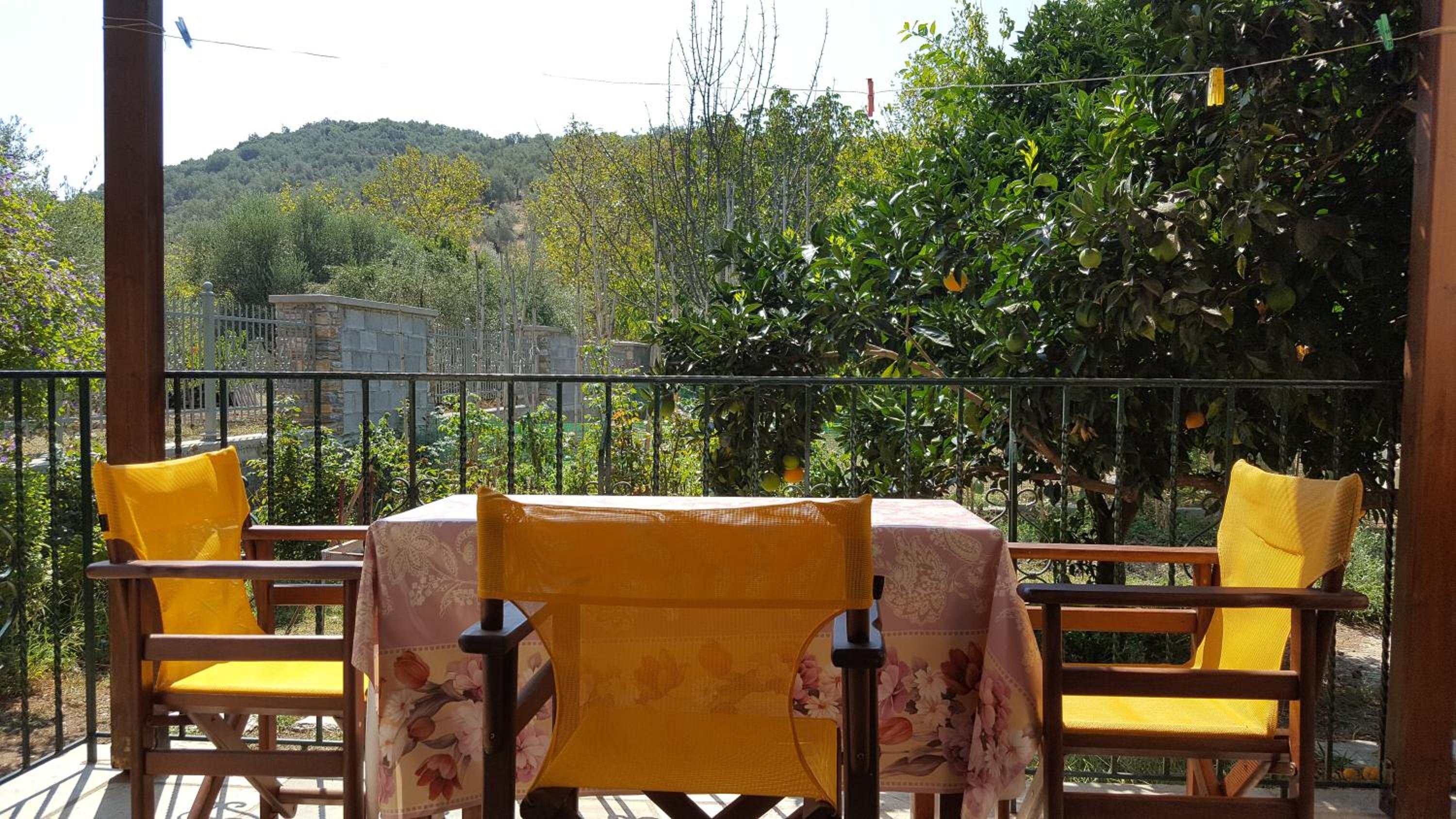 Apartment with Garden View - Photo 7
