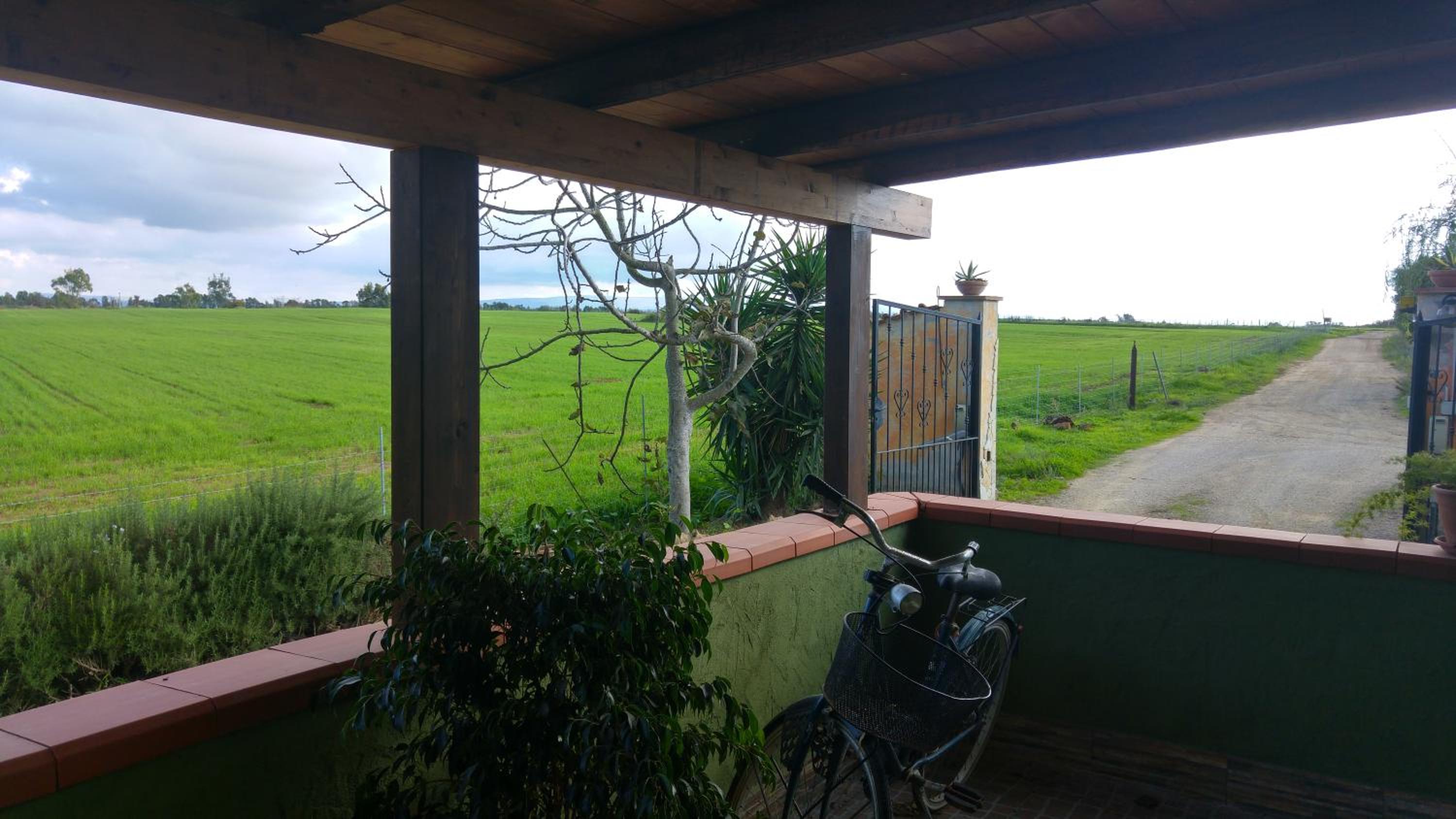 Studio with Garden View - Photo 11