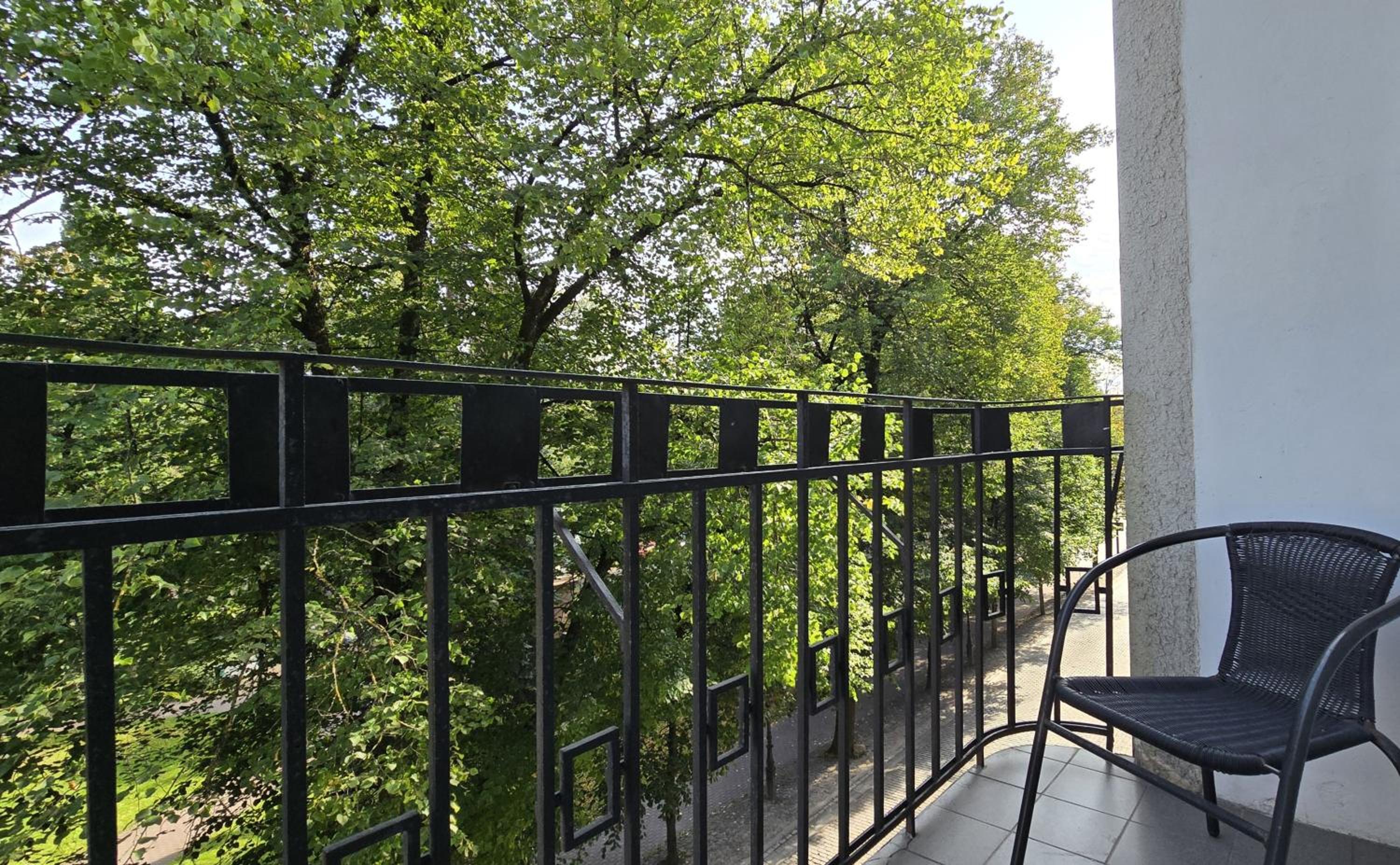 Superior Double or Twin Room with Terrace