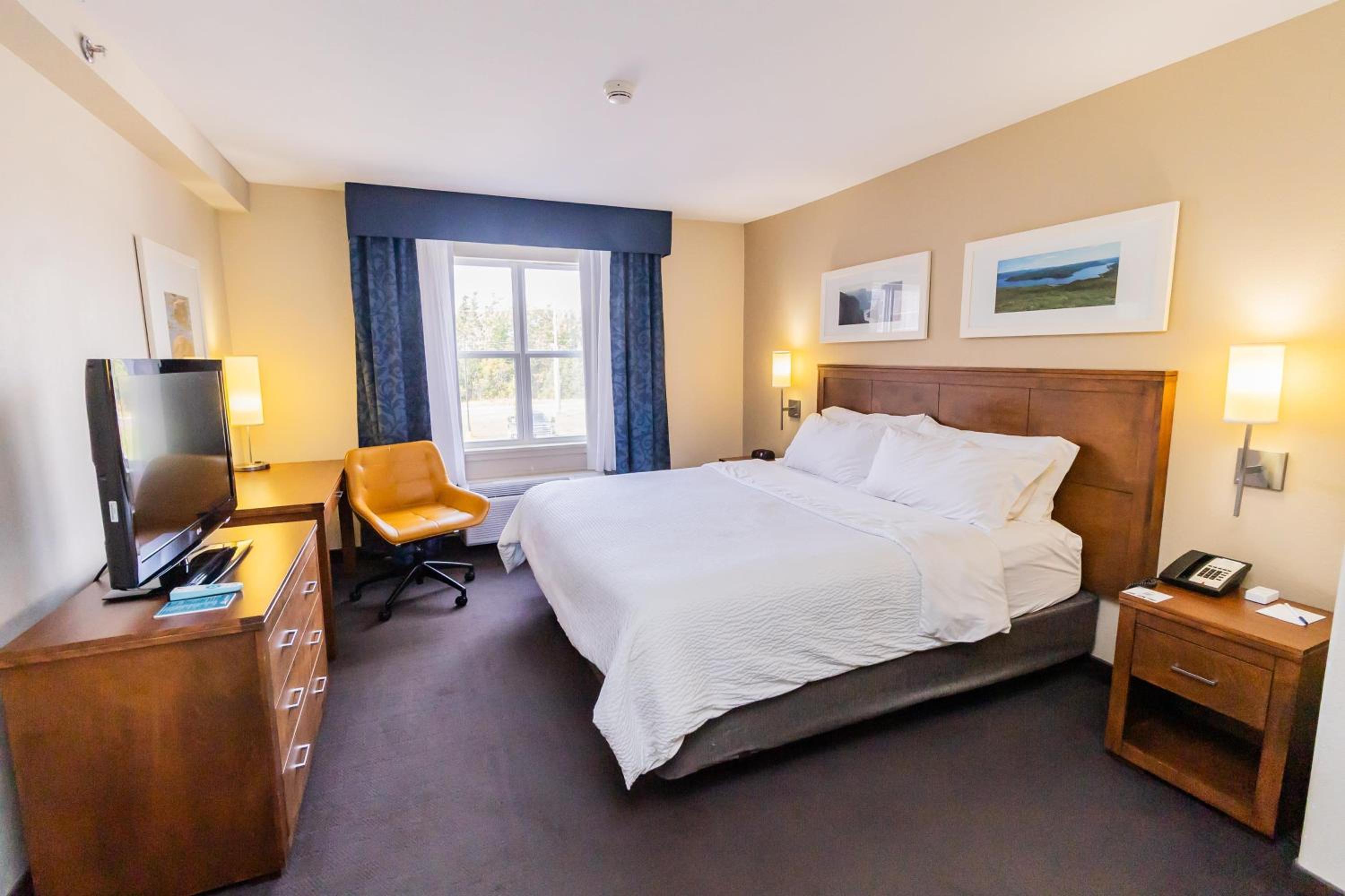 King Suite with Sofa Bed - Non-Smoking