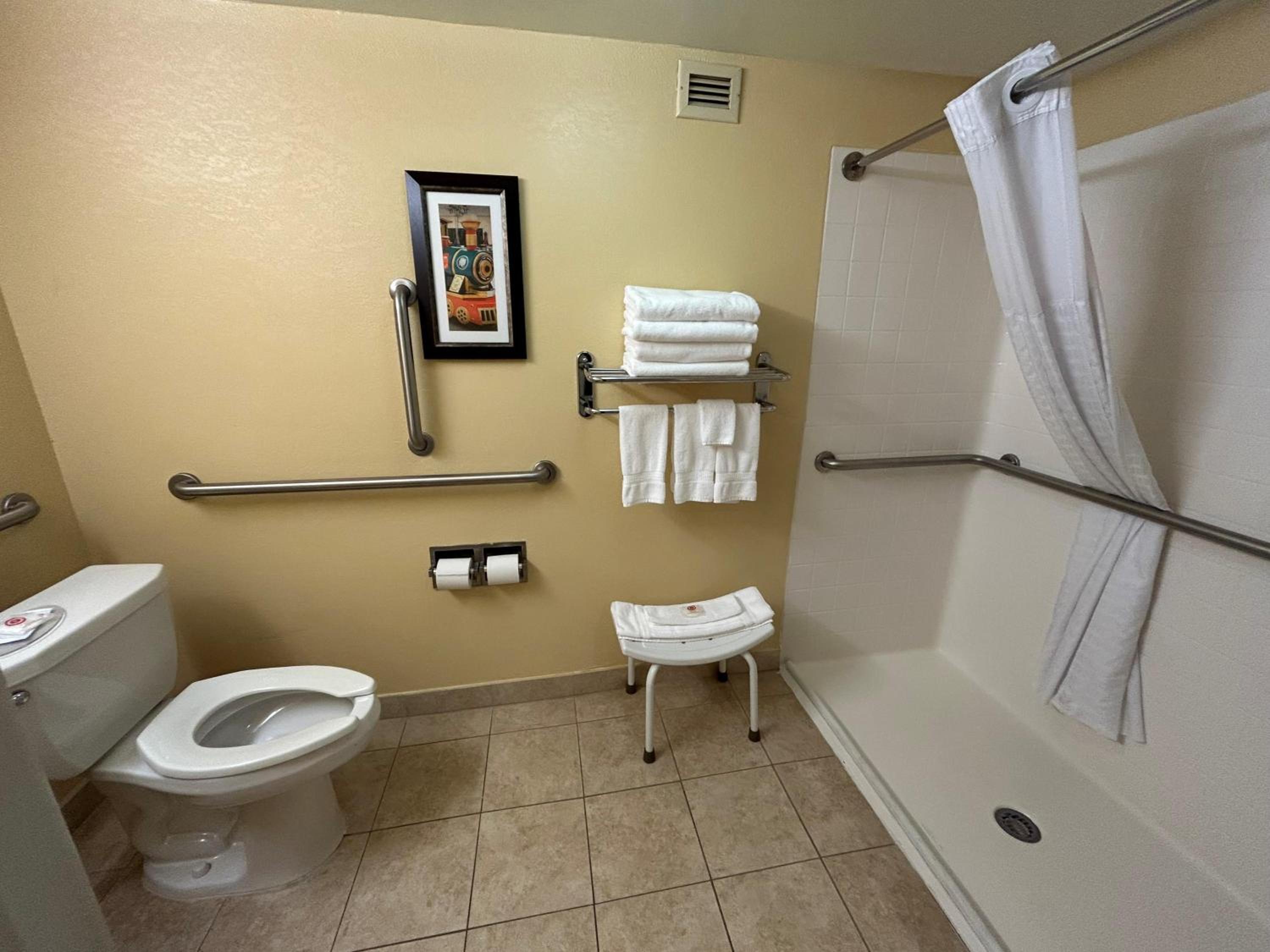 Double Room with Roll-in Shower - Disability Access/Non-Smoking