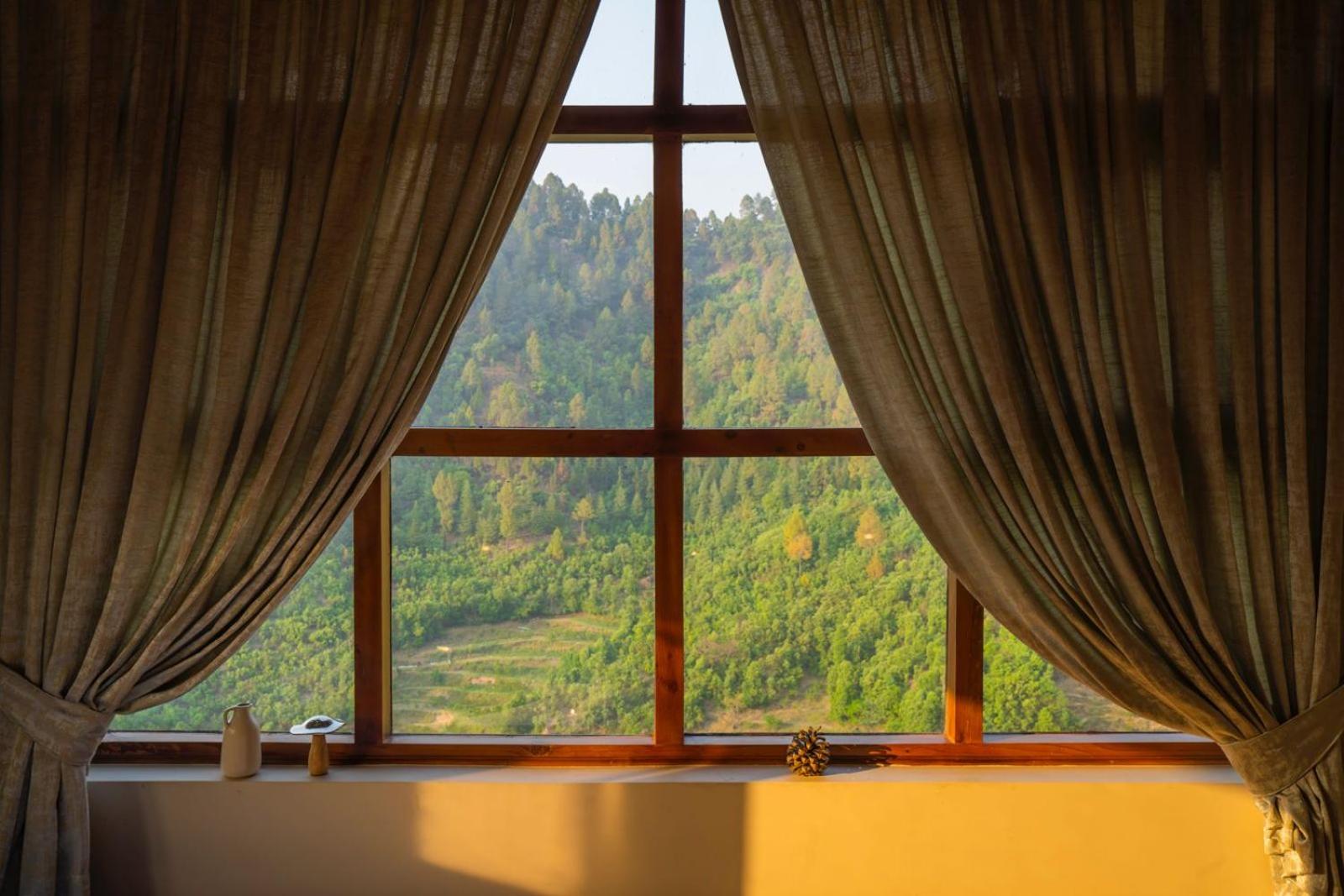 Luxury Quadruple Room photo 2