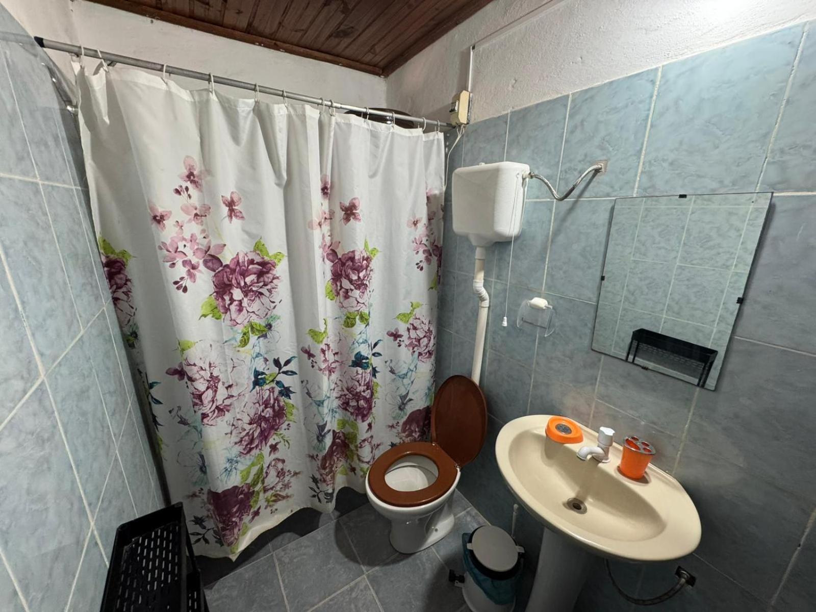 Duplex Apartment photo 2