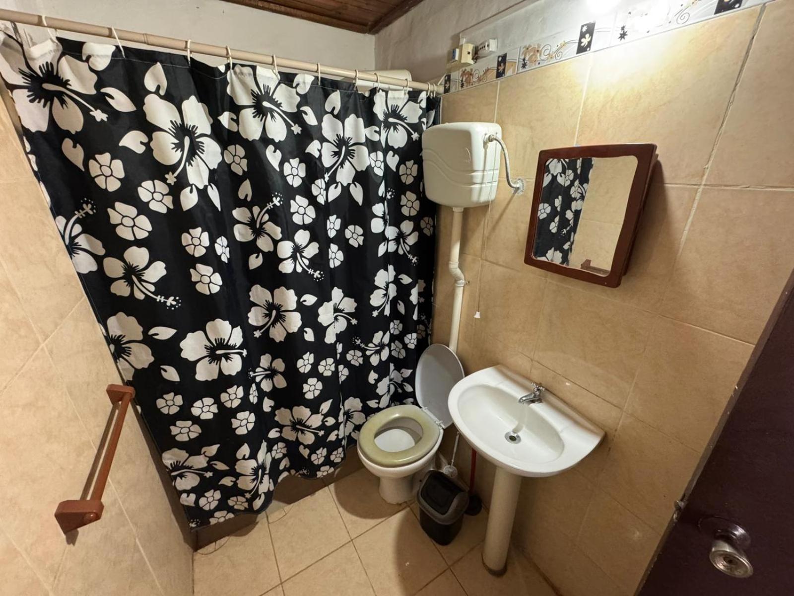 Duplex Apartment photo 3