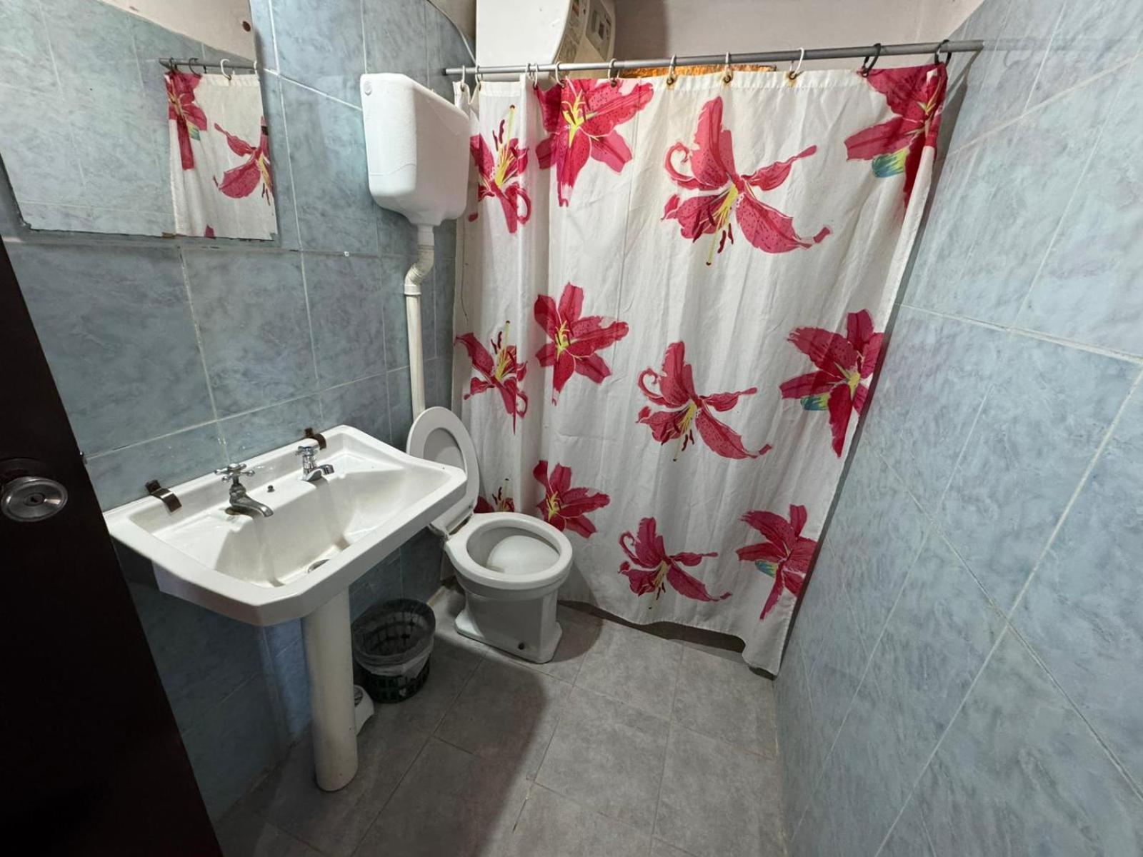 Duplex Apartment photo 3