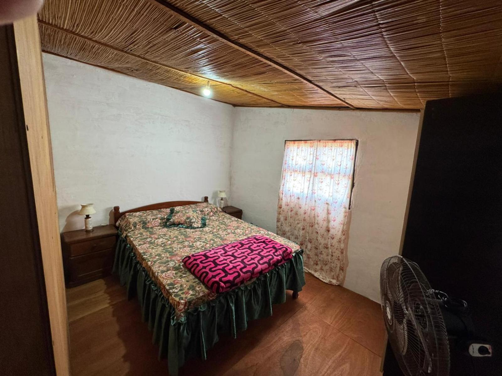 Duplex Apartment photo 3