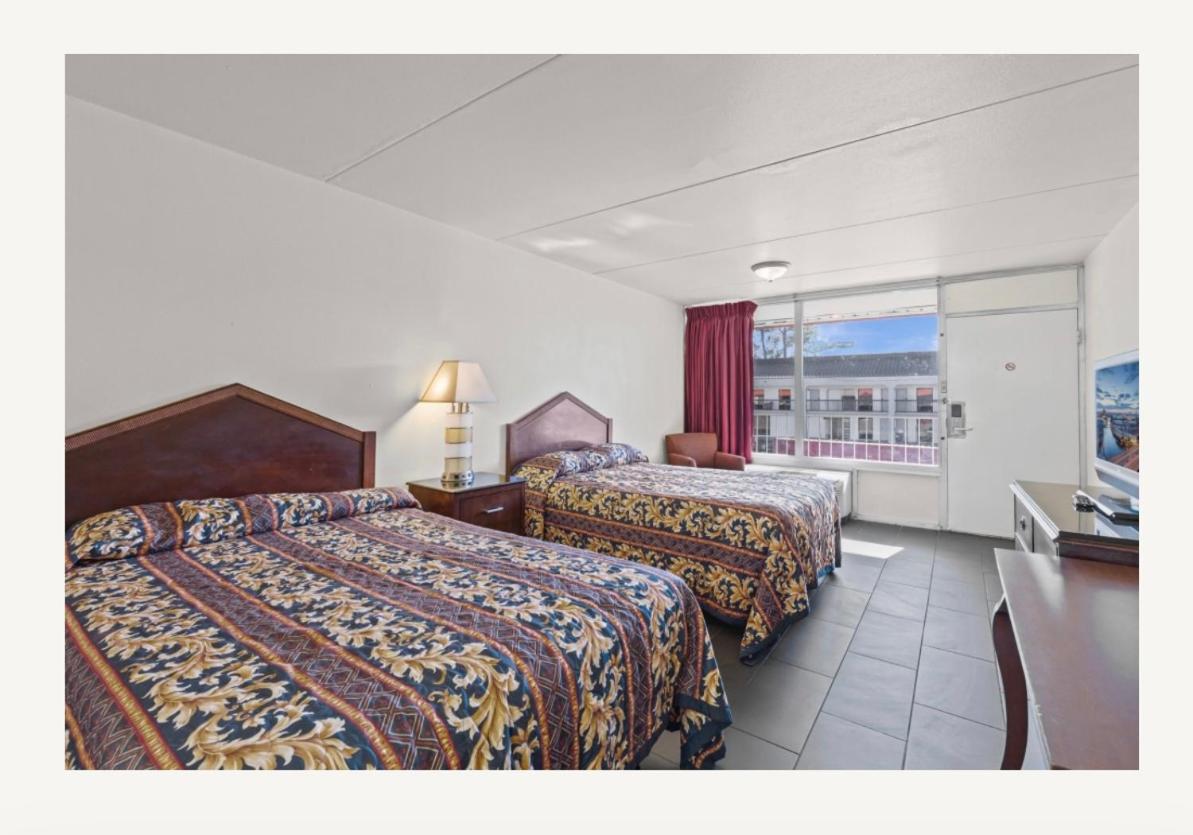 Standard Double Room photo 2