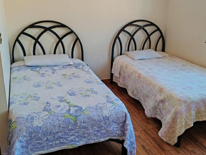 Standard Twin Room with Shared Bathroom