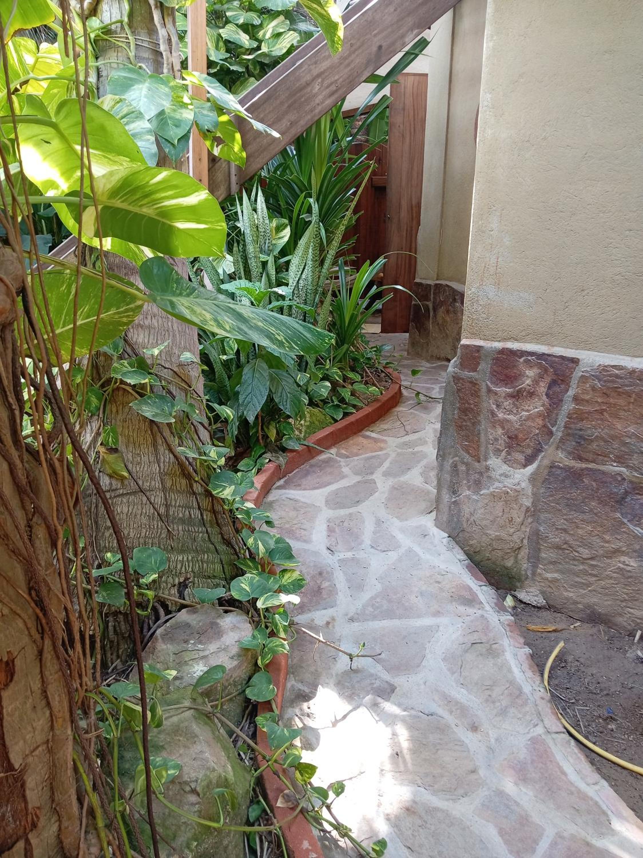 Double Room with Patio photo 3