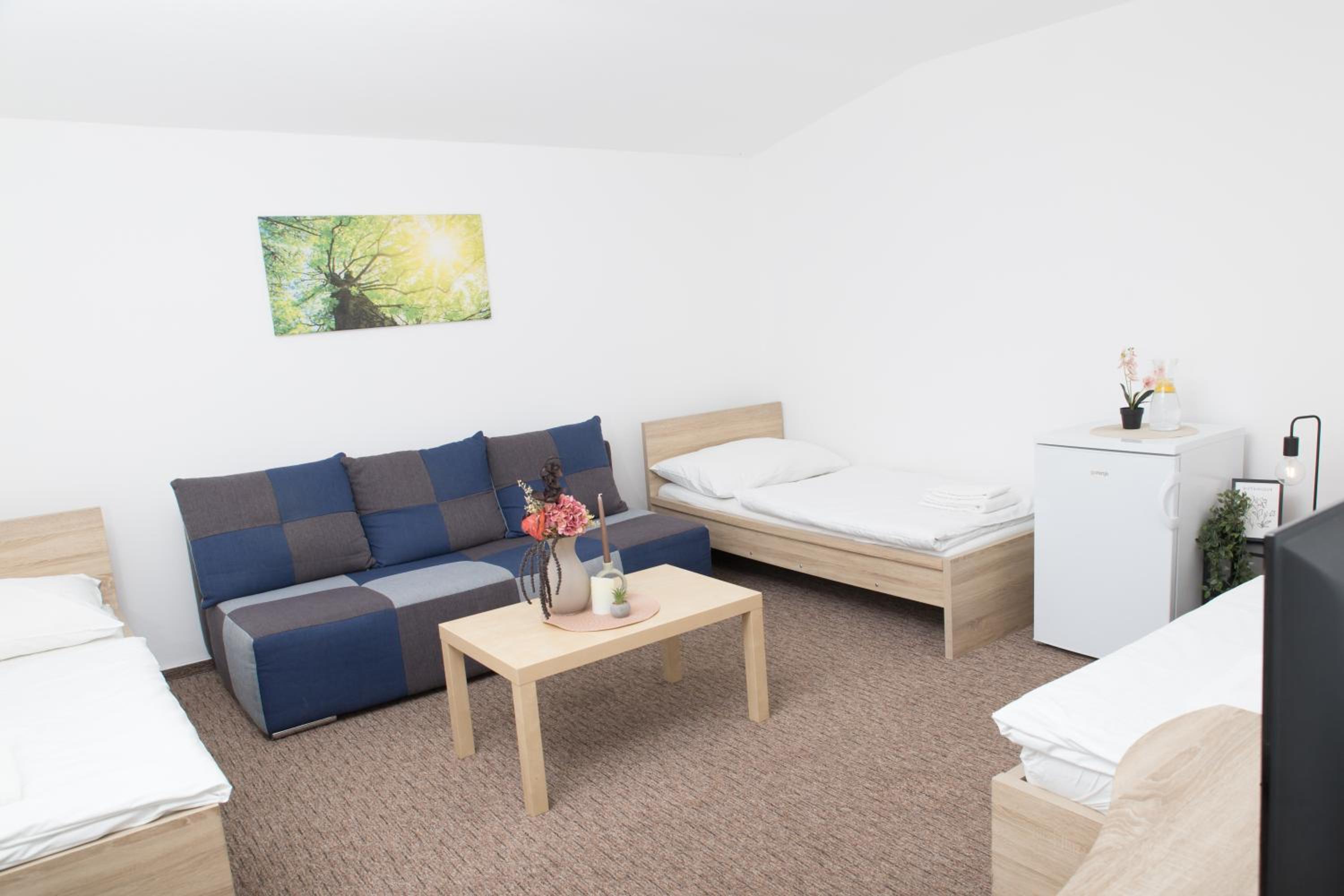 Standard Triple Room photo 3