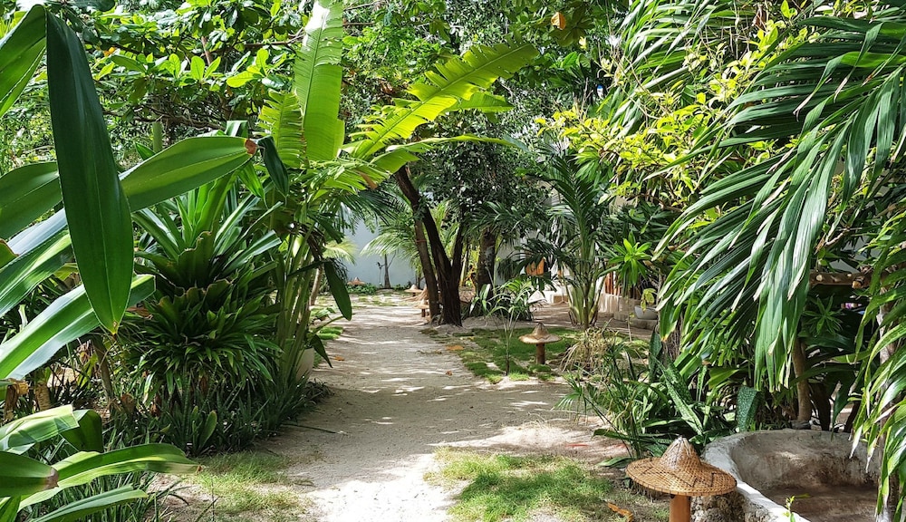 Standard Room, Garden View photo 2