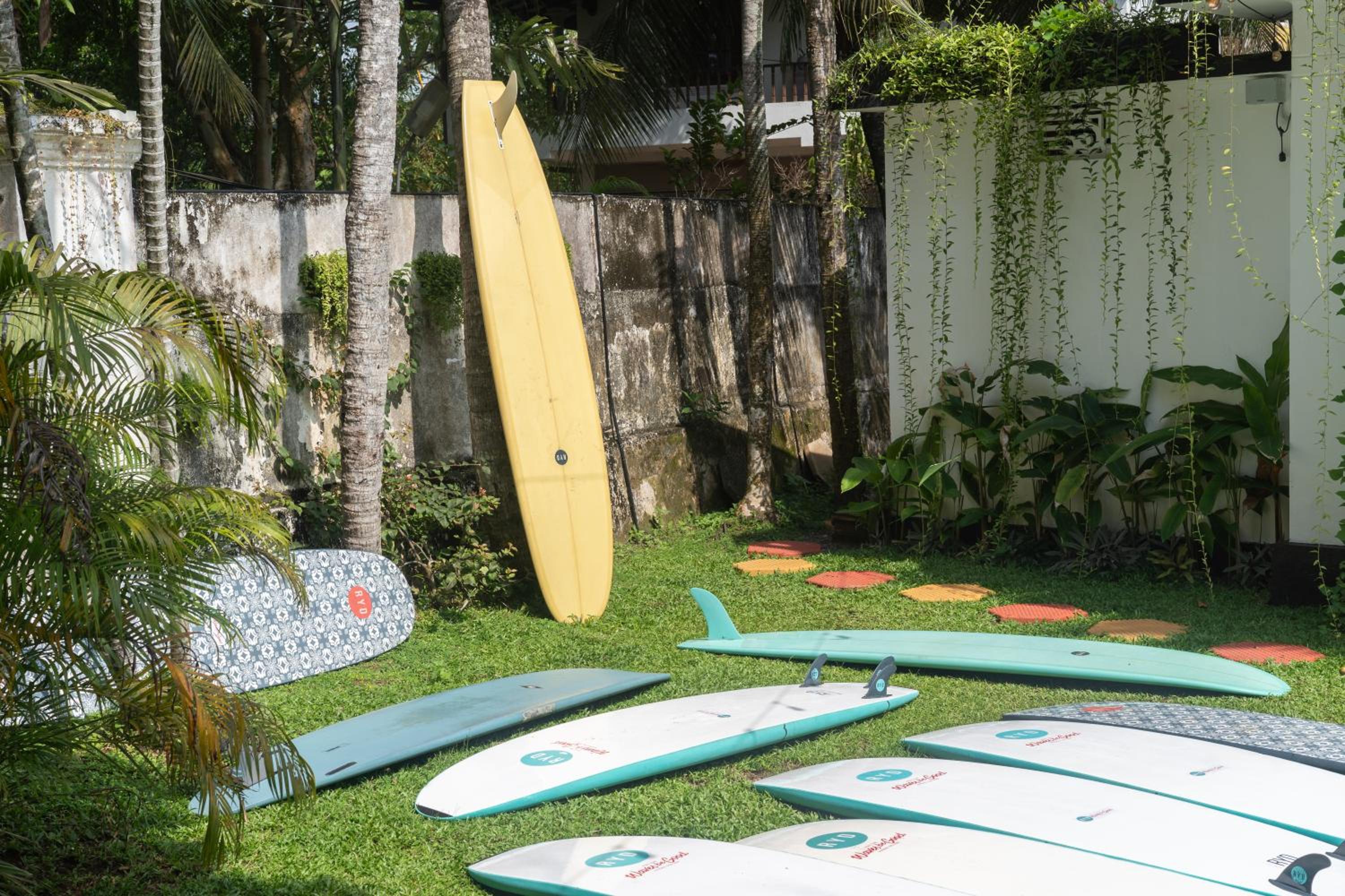 Surf Camp Package photo 2