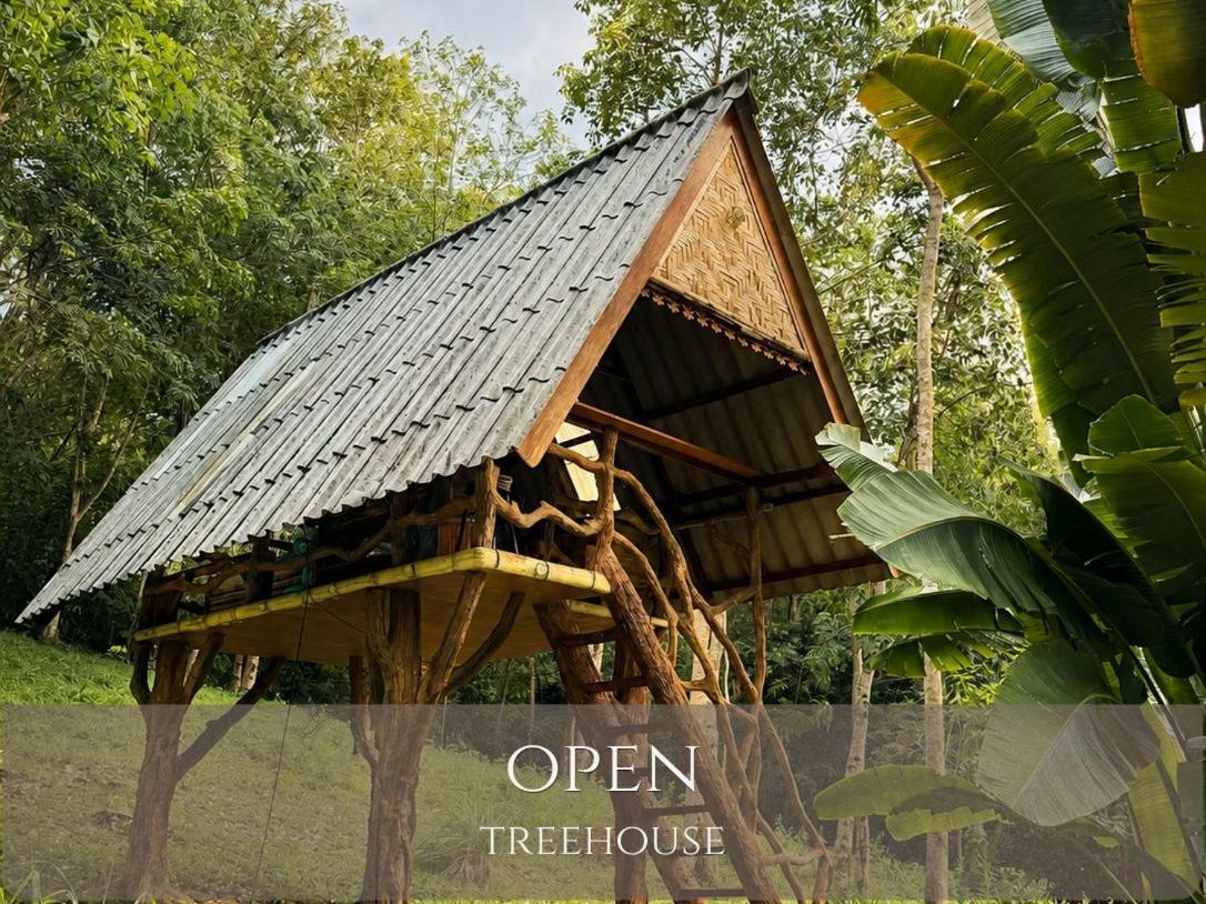Open Treehouse