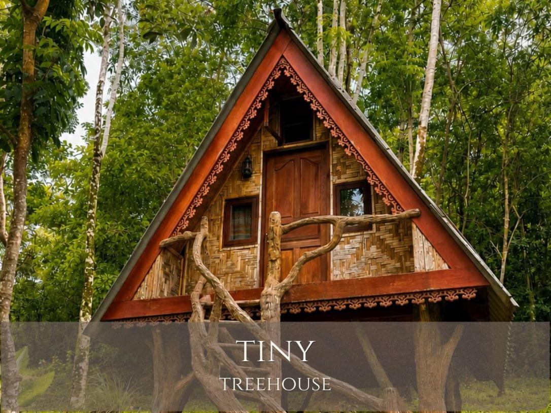 Tiny Treehouse