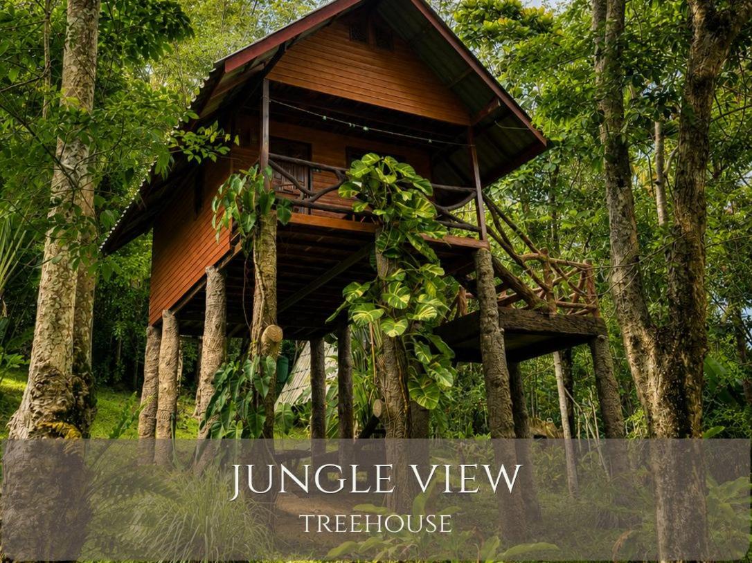 Jungle View Treehouse