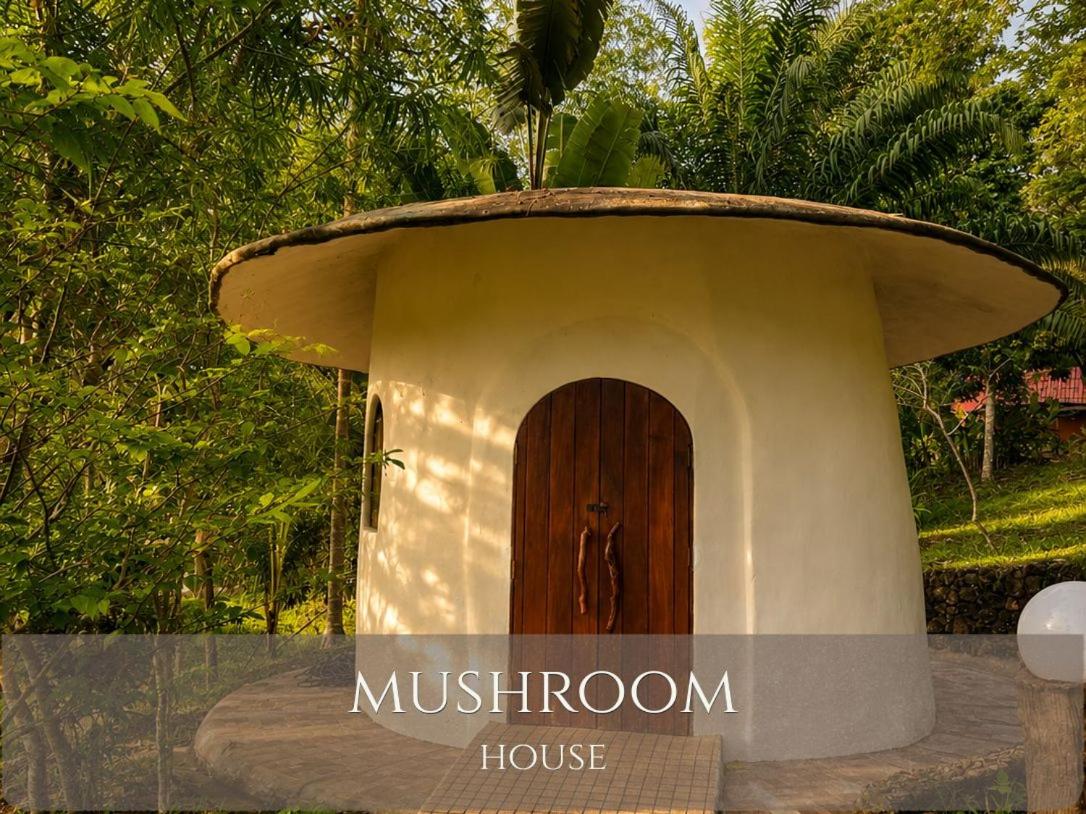 Mushroom House, photo 6