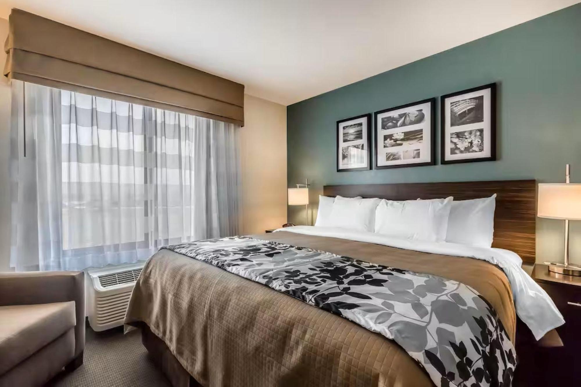 King Room - Accessible/Non-Smoking