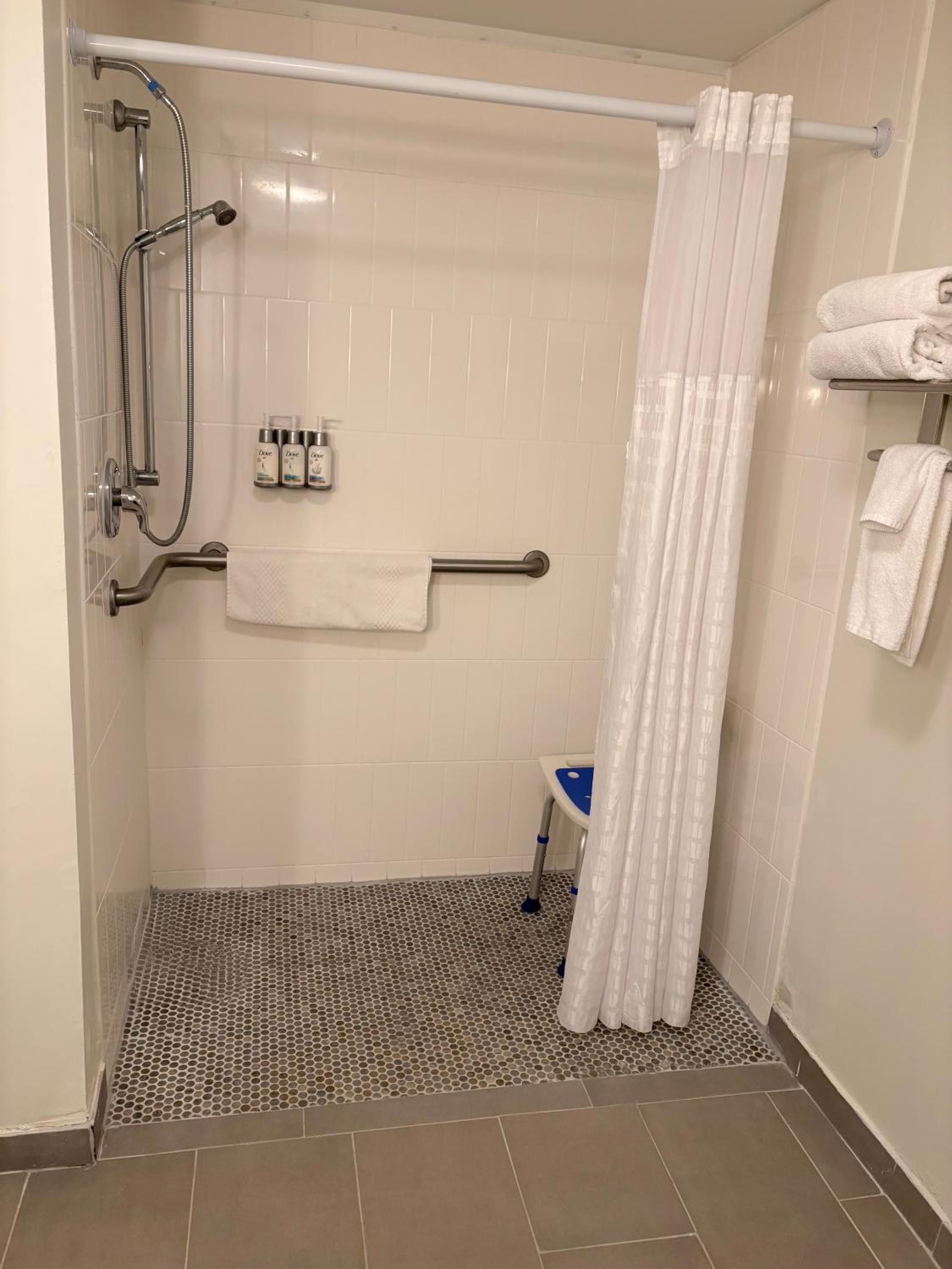 King Suite with Mobility Accessible Roll-In Shower