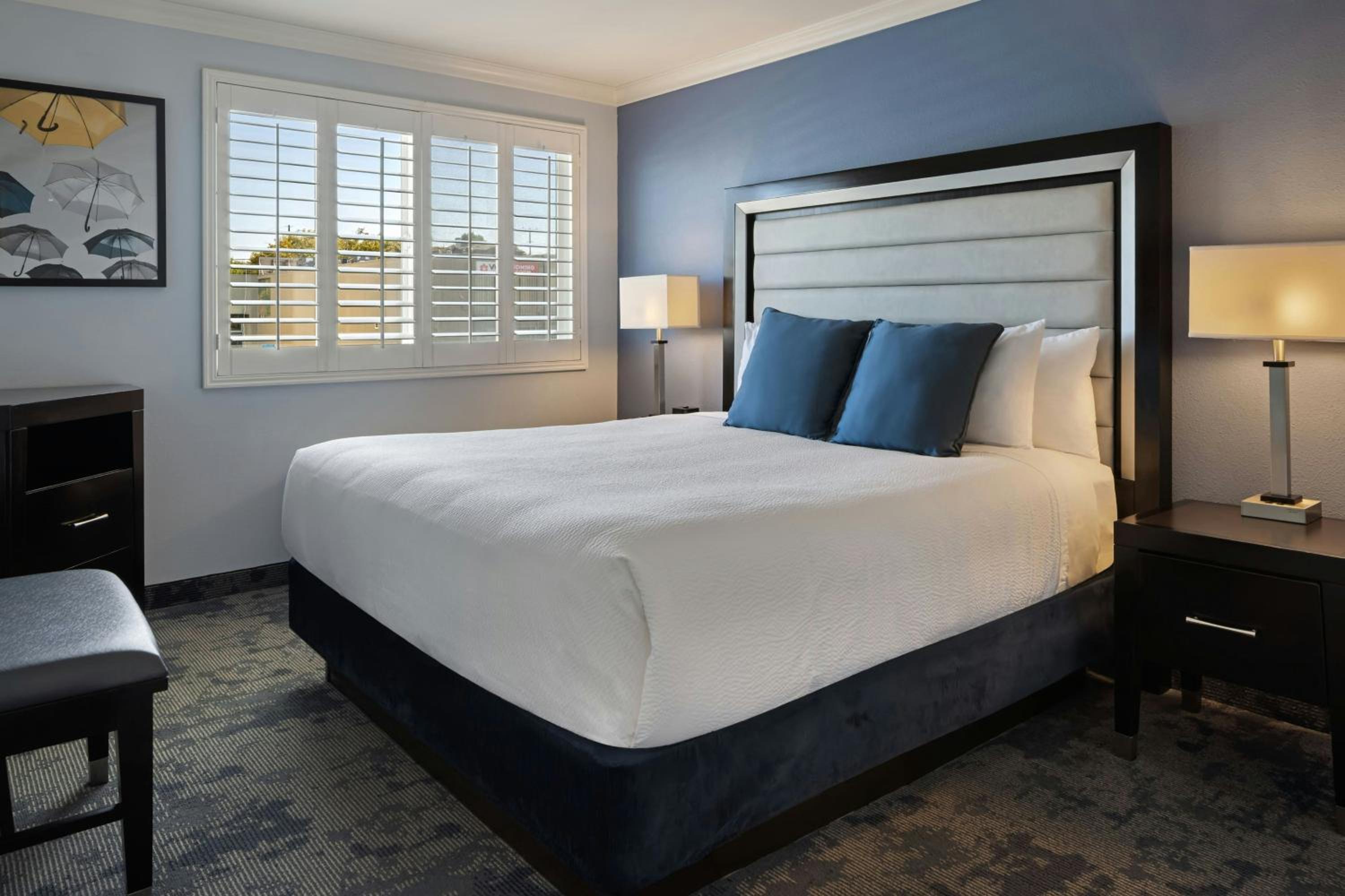 One-Bedroom King Suite with Sofa Bed  - Photo 4