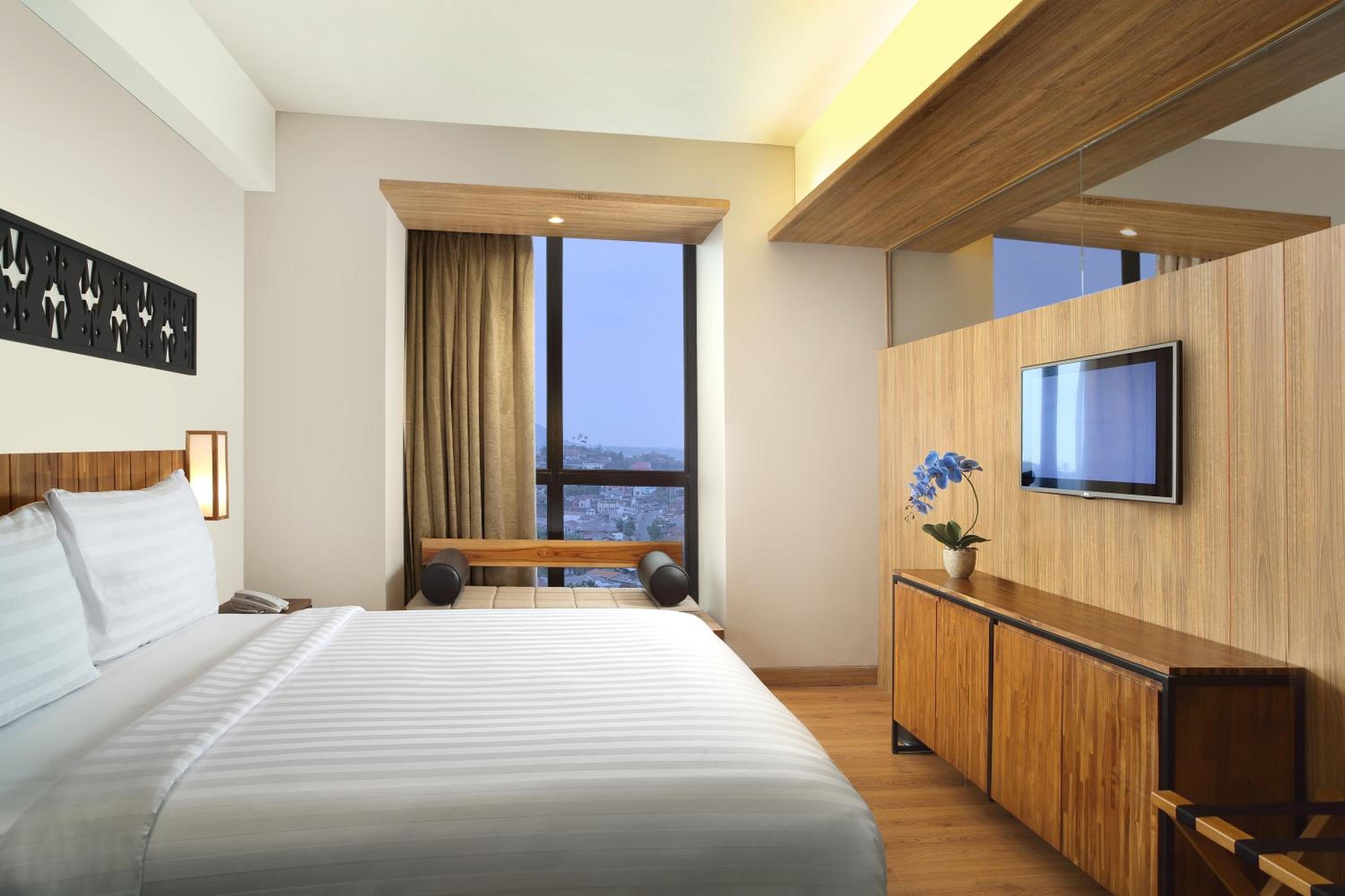 Suite photo 2
