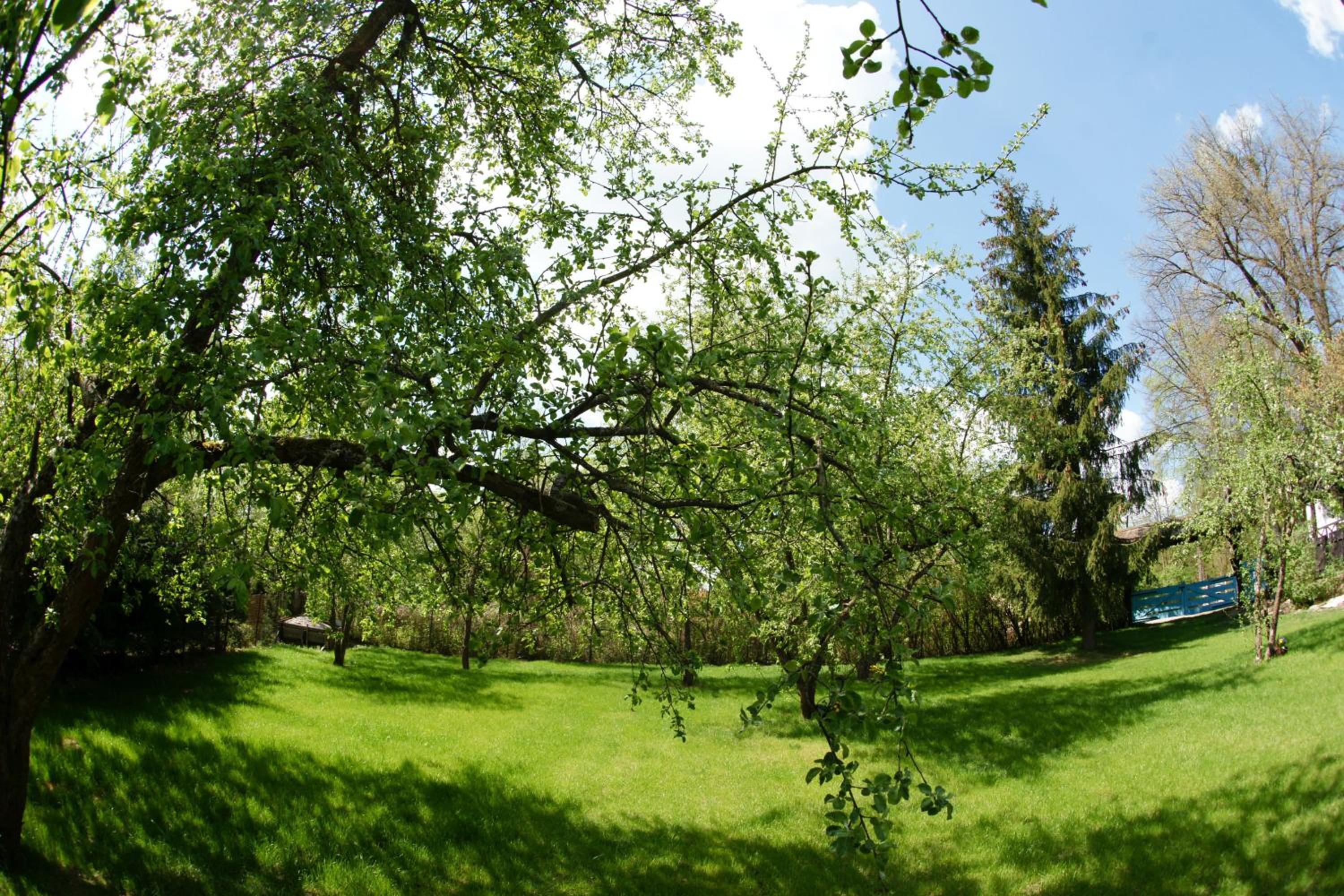 Villa With Garden View photo 2