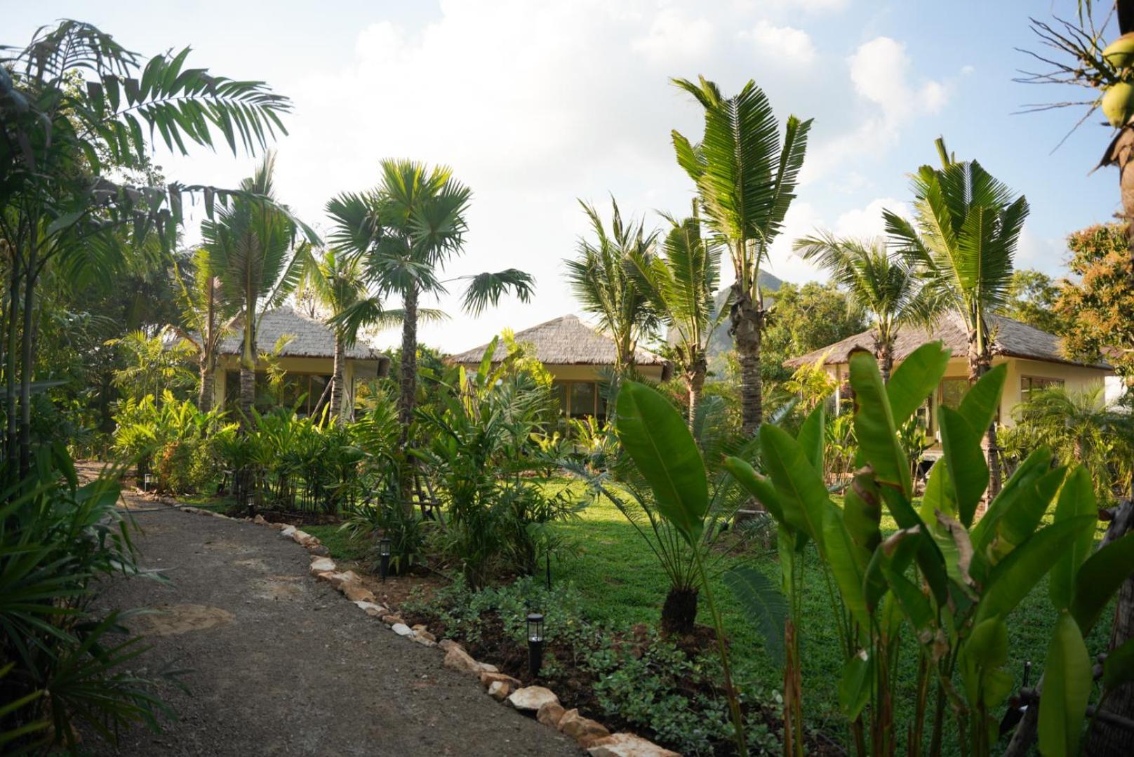 Deluxe Bungalow photo 3