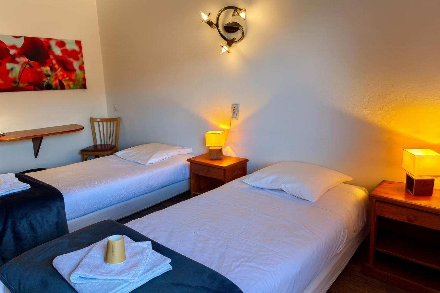 Budget Twin Room