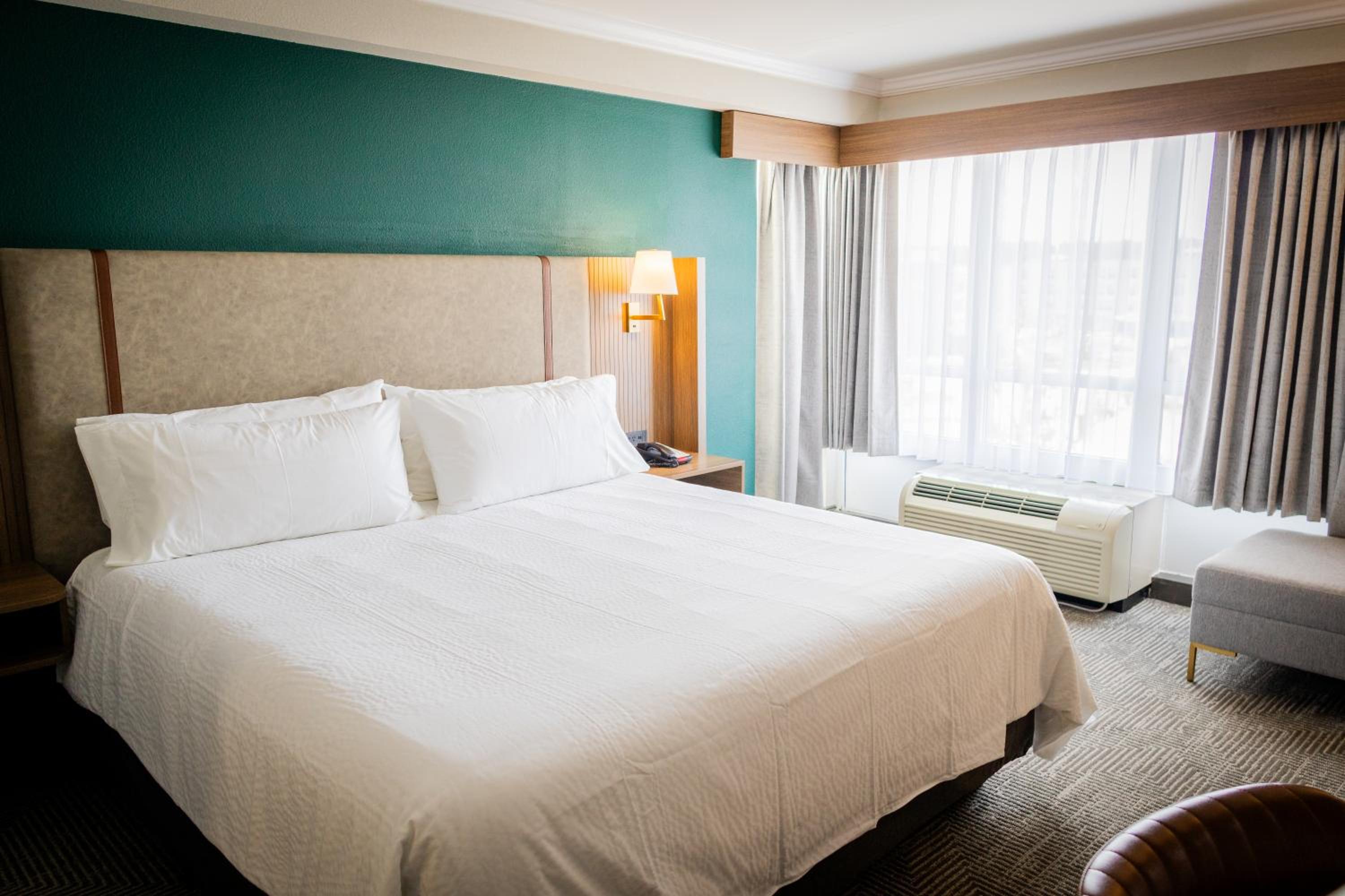 One-Bedroom King Suite - Photo 1