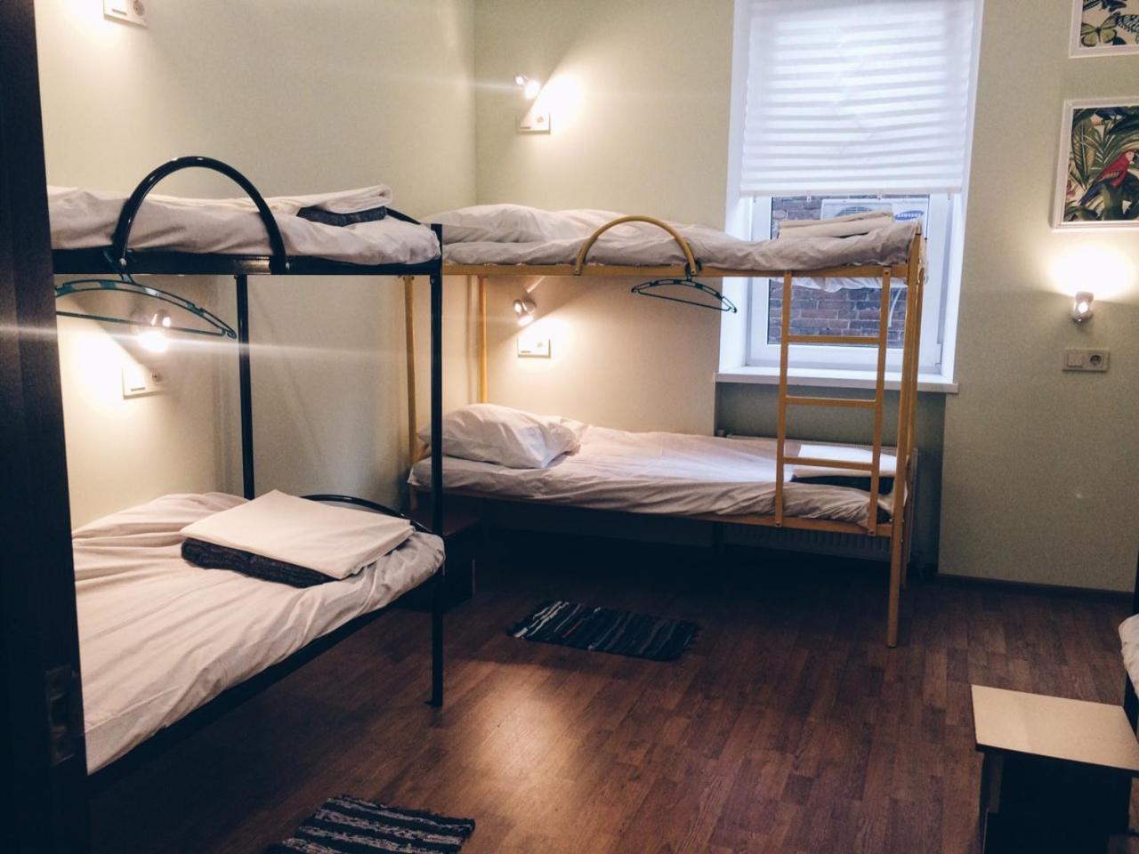 Bunk Bed in Mixed Dormitory Room photo 1