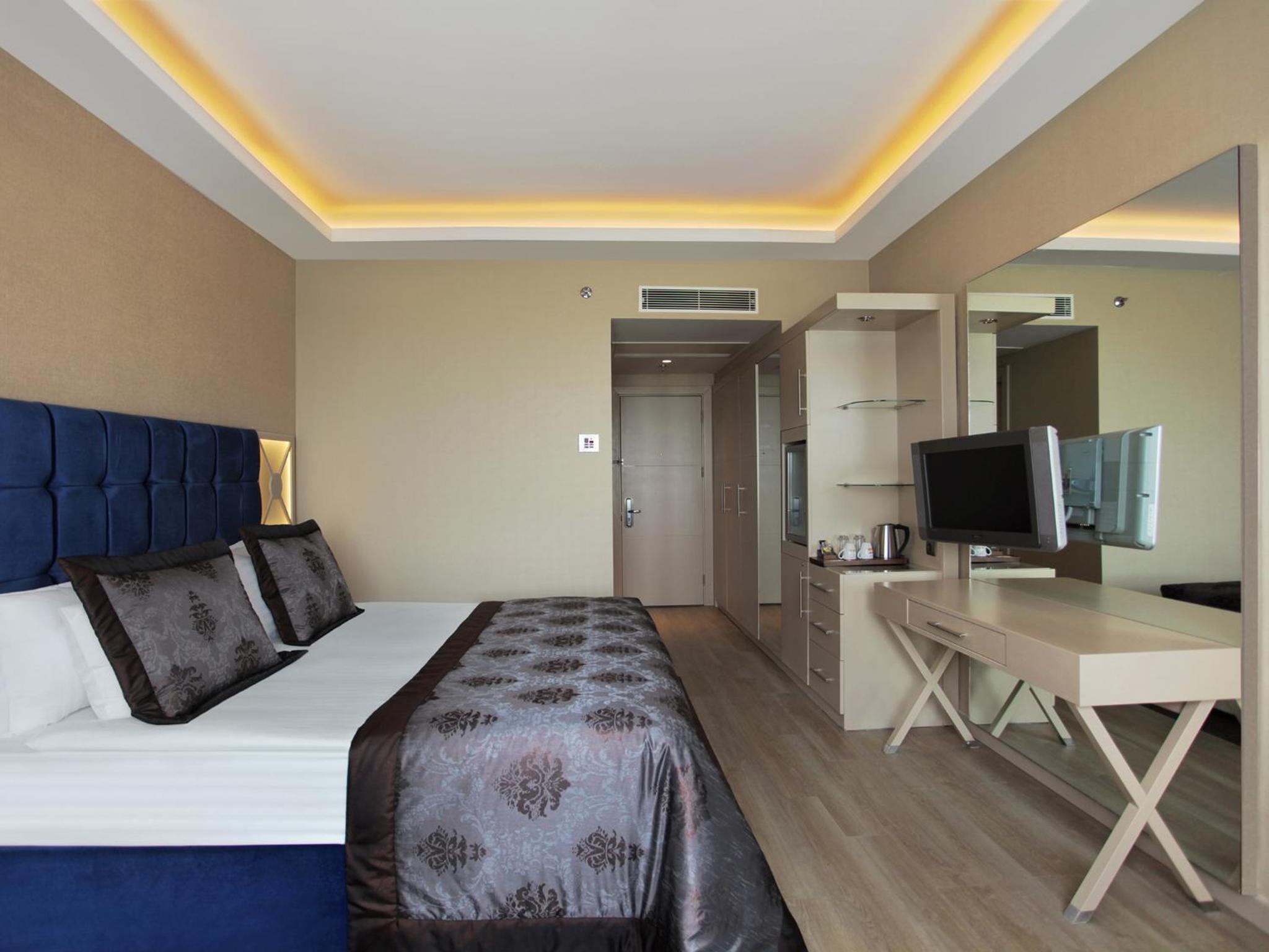 Executive Room photo 1
