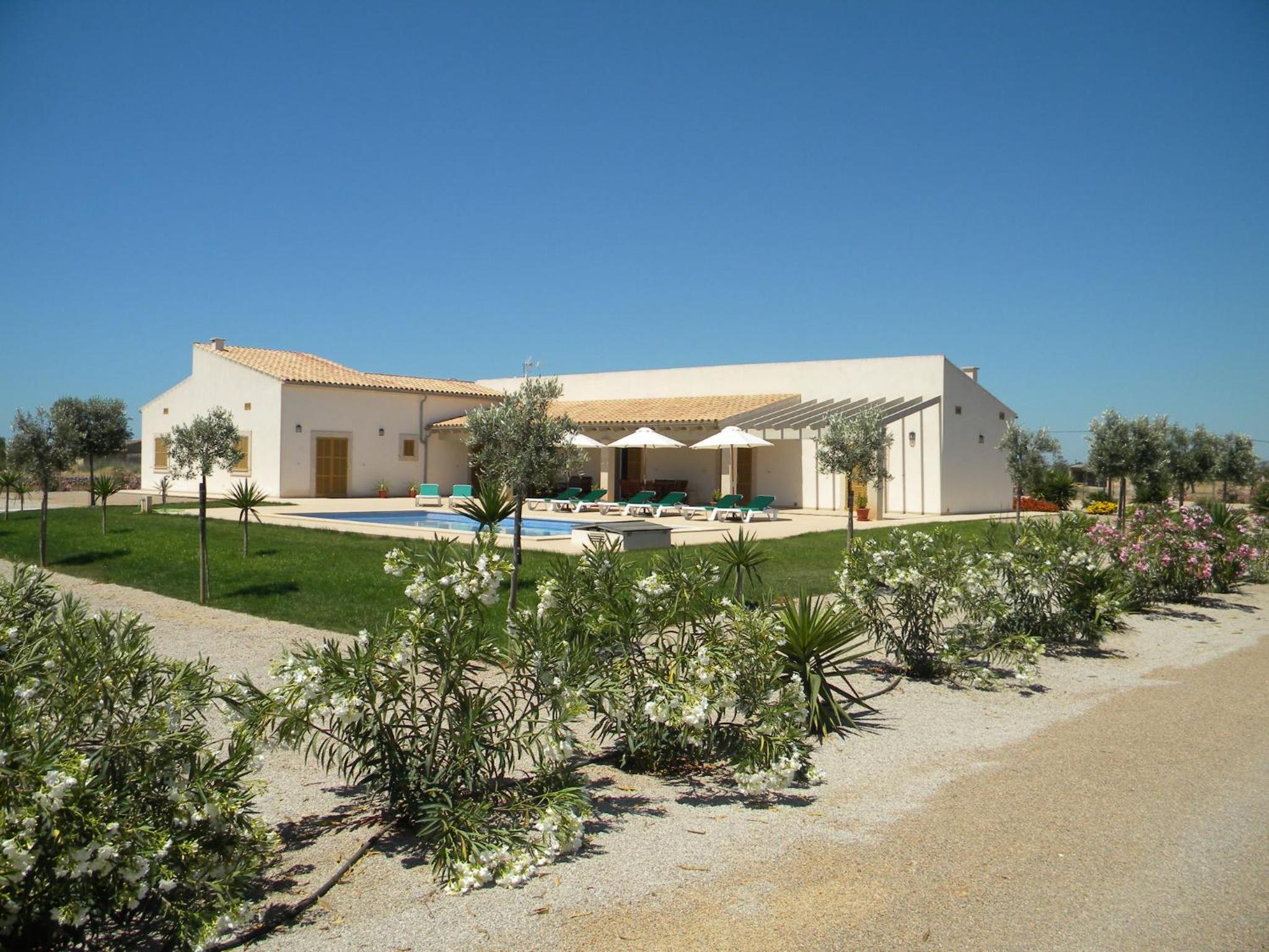 Four-Bedroom House photo 2