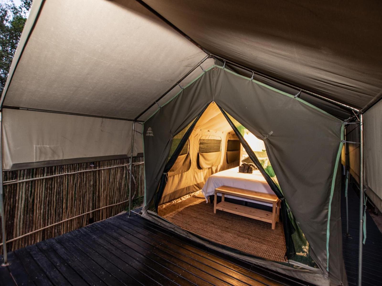 TENT 1