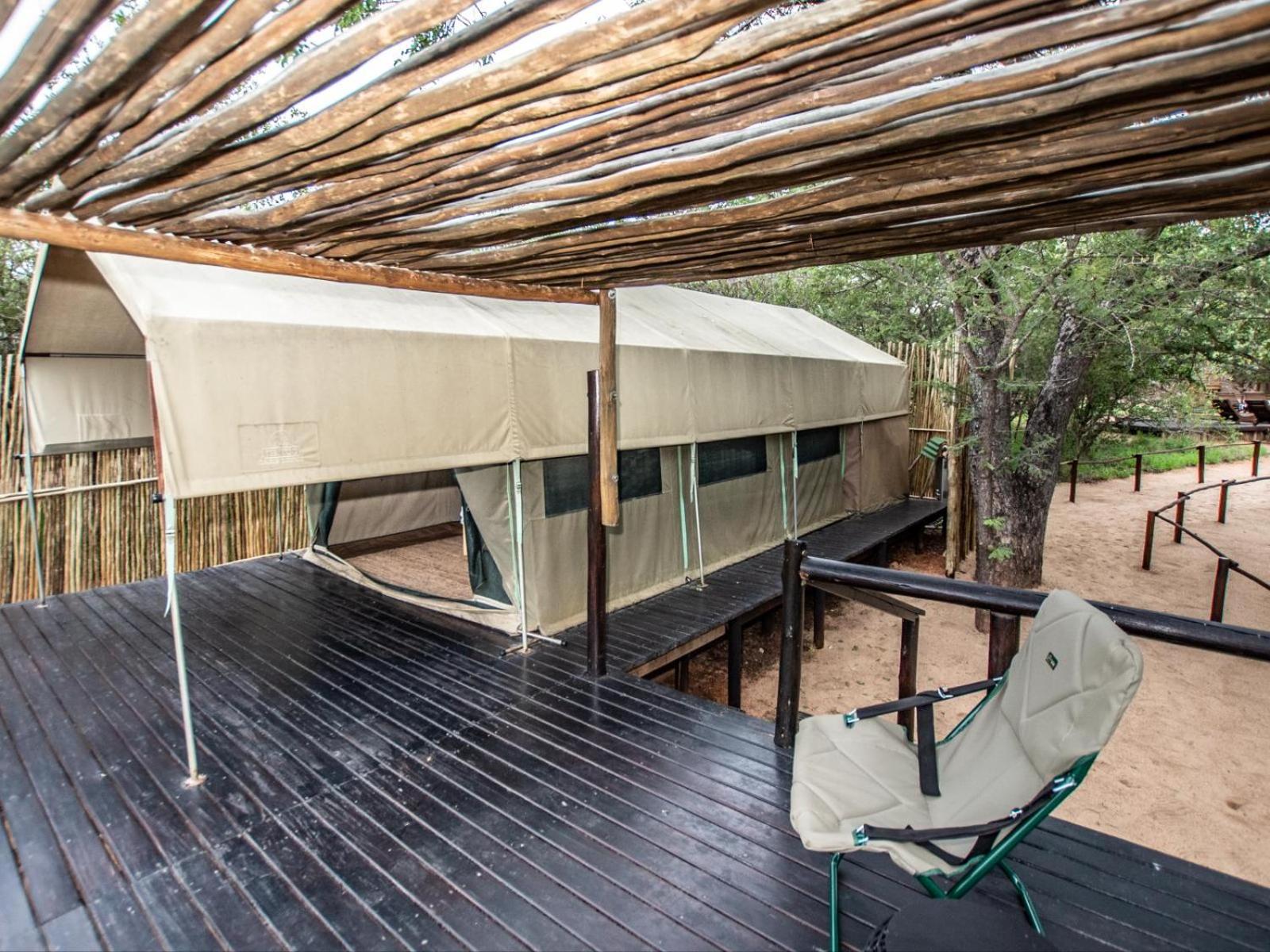 TENT 1  photo 3