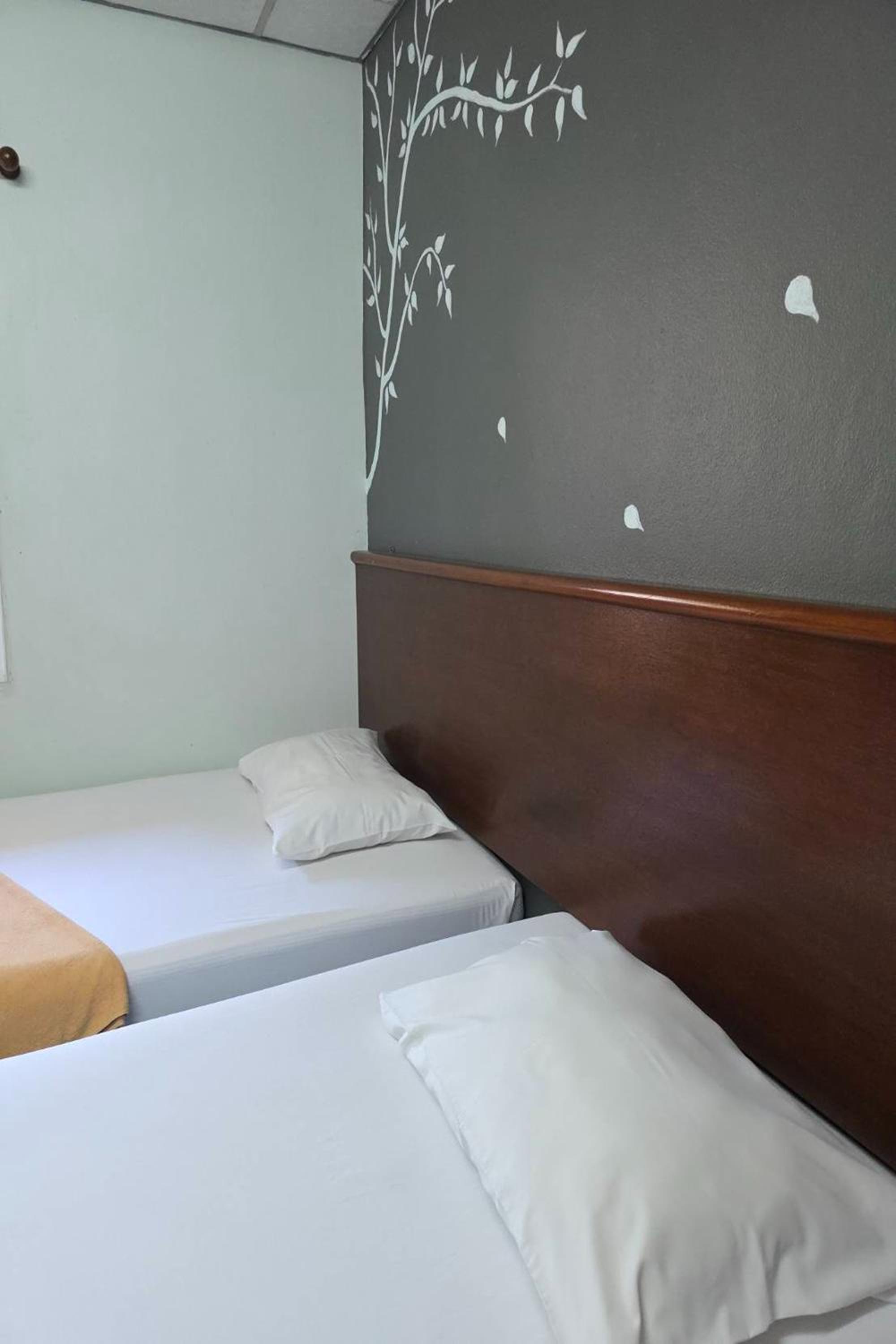 Standard Twin Room photo 1