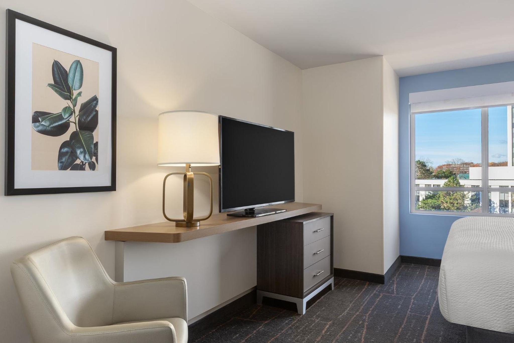 King Suite with Sofa Bed - Photo 2