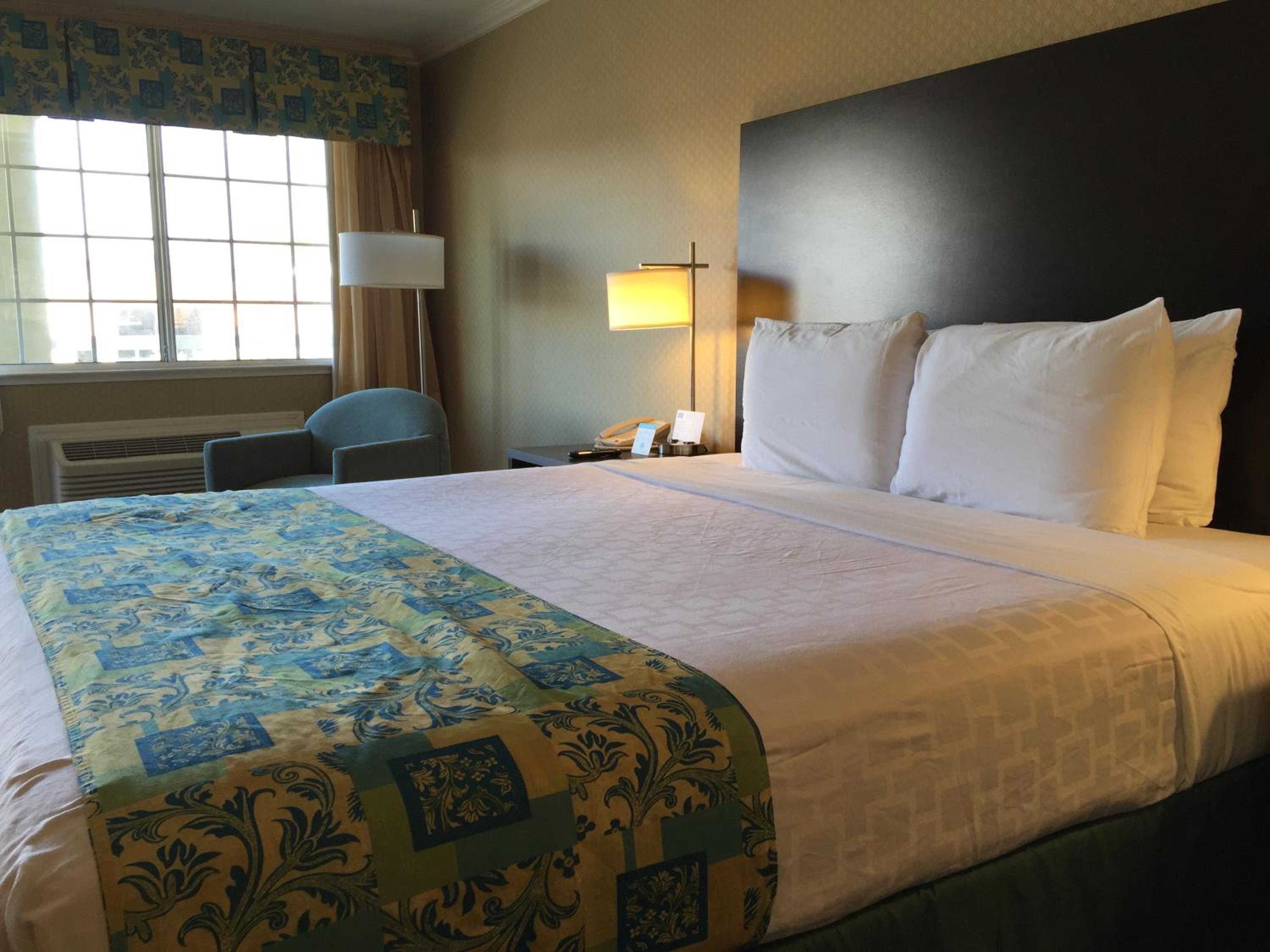 Deluxe King Room - Not Pet Friendly - Photo 5