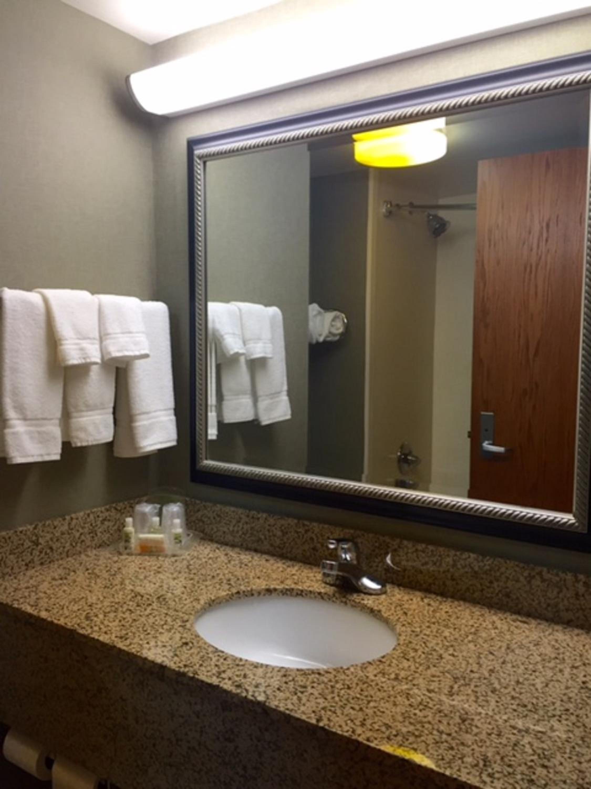 Suite - Mobility Access Roll In Shower/Non-Smoking photo 3