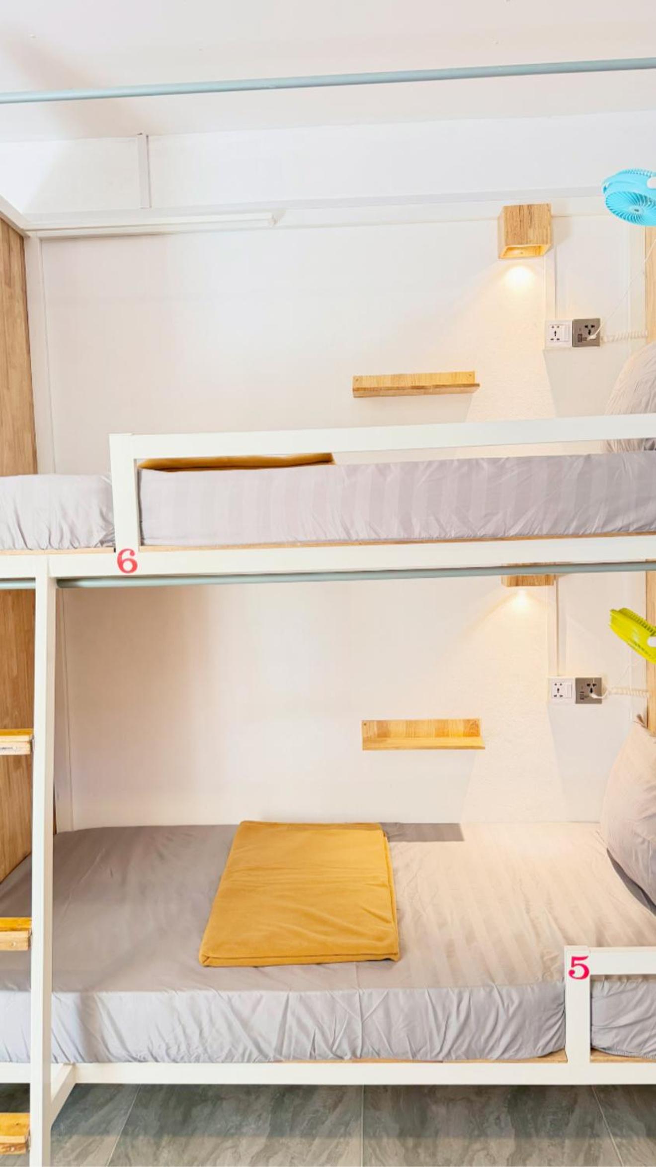 Single Bed in Mixed Dormitory Room photo 2