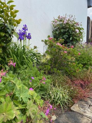 House, 3 bed, 3 bath, close to Beaches, Braunton, Photo 5