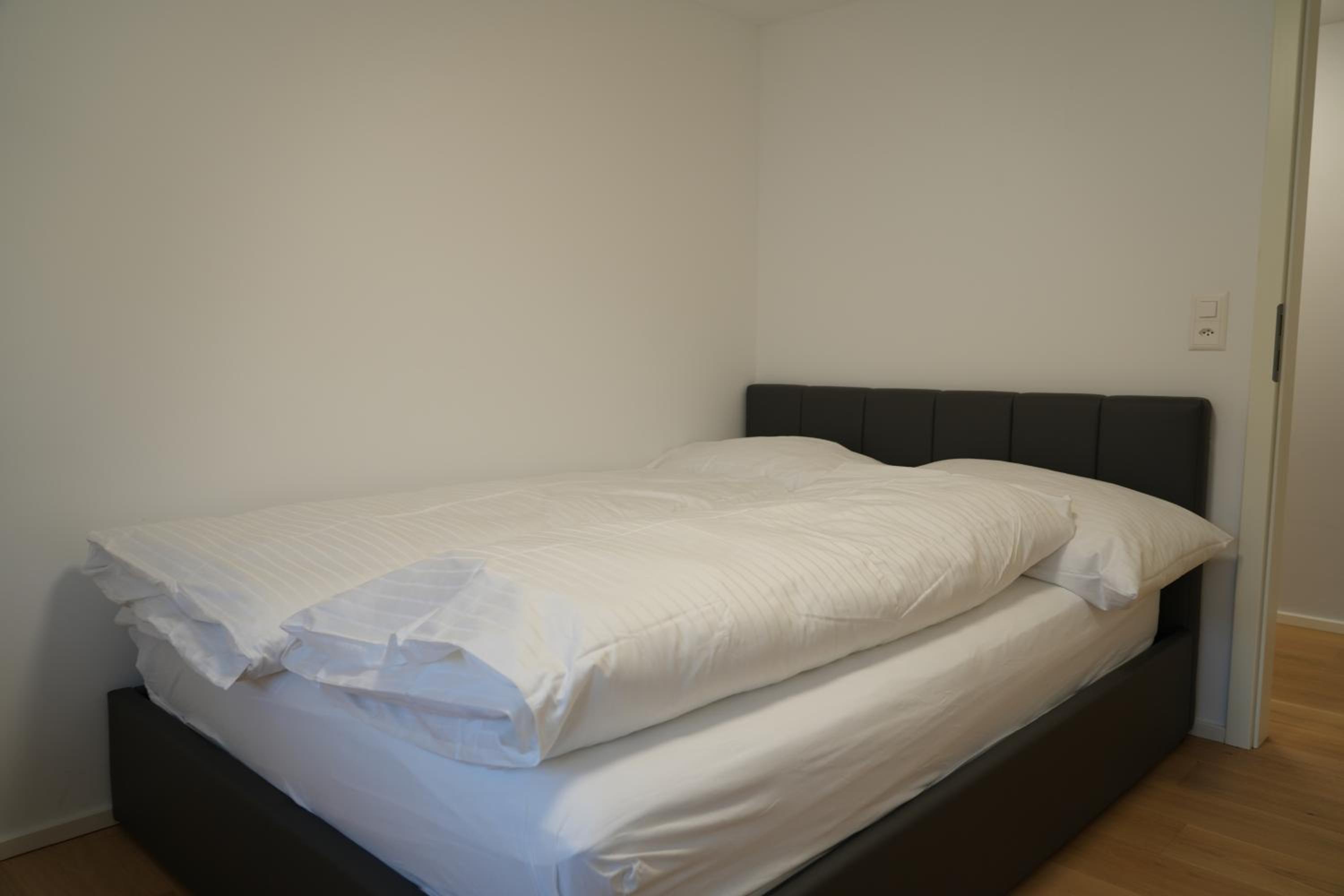Two-Bedroom Apartment with Mountain View photo 3