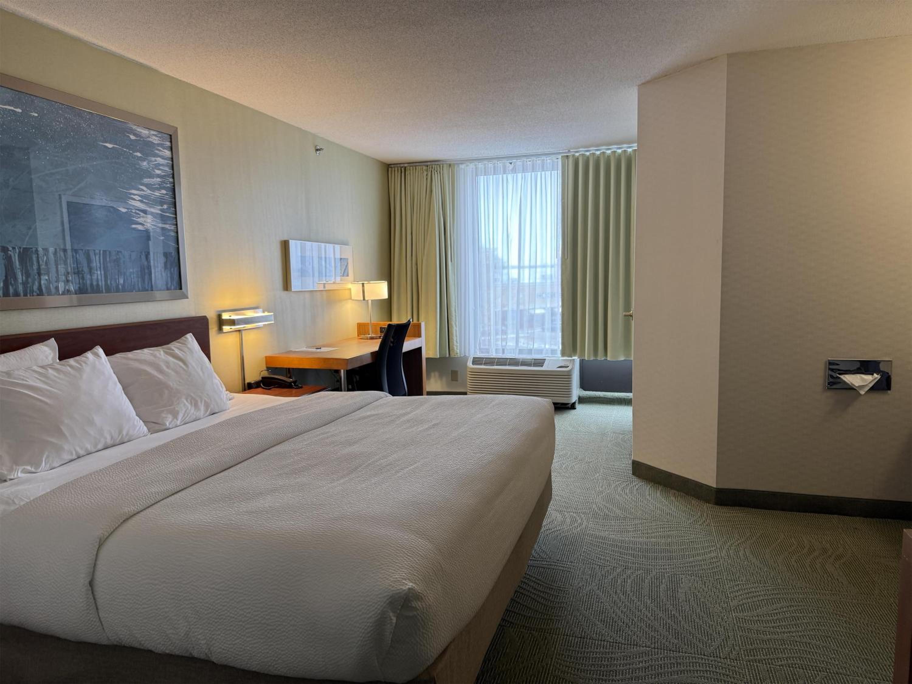 King Room with Roll-In Shower, Sofa Bed and Wet Bar - Disability/Non-Smoking - Photo 1