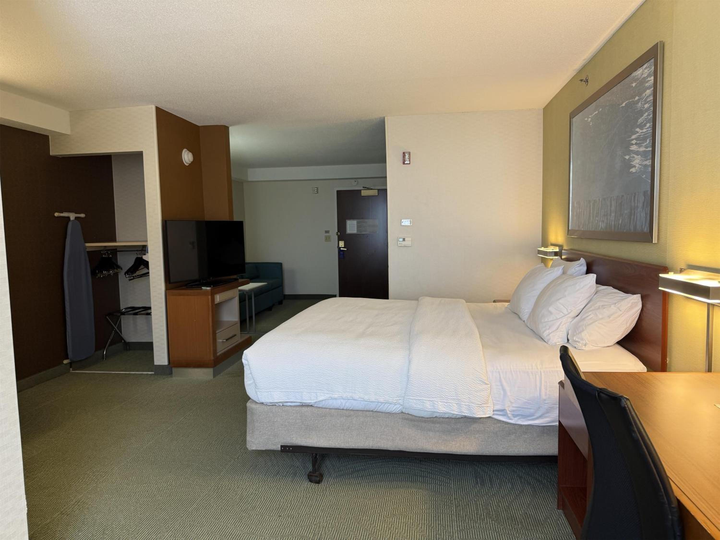 King Room with Roll-In Shower, Sofa Bed and Wet Bar - Disability/Non-Smoking - Photo 2