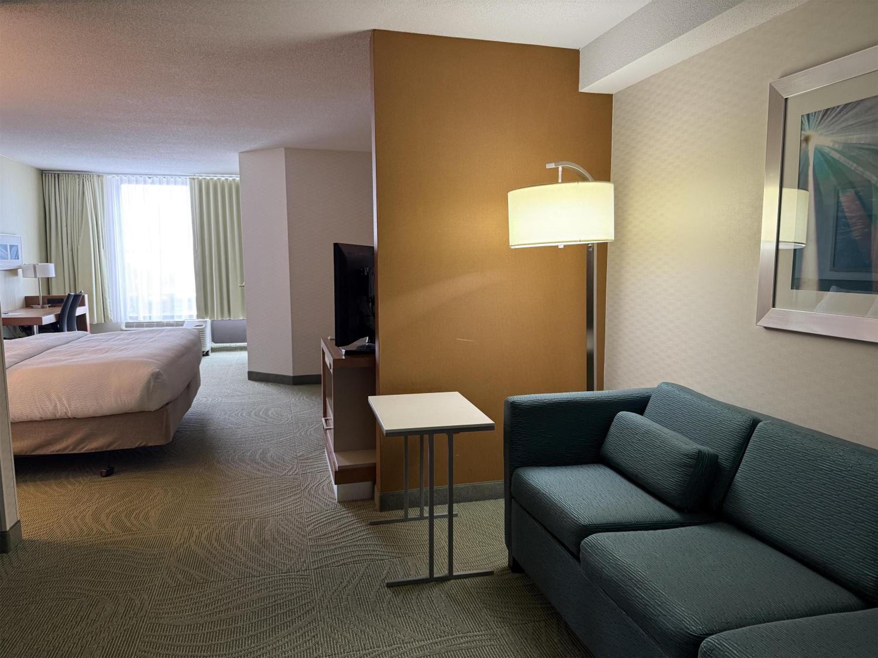 King Room with Roll-In Shower, Sofa Bed and Wet Bar - Disability/Non-Smoking - Photo 3