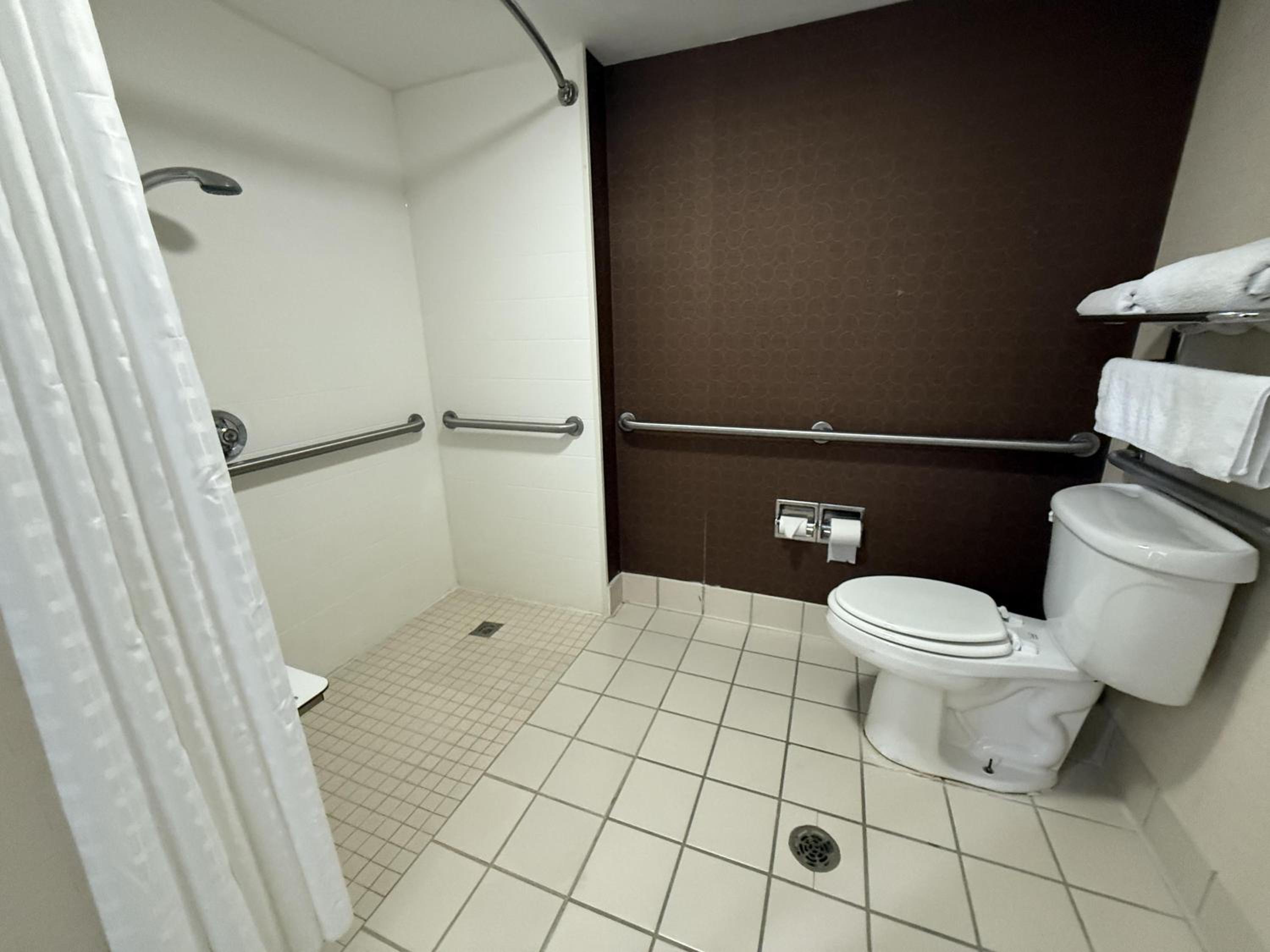 King Room with Roll-In Shower, Sofa Bed and Wet Bar - Disability/Non-Smoking - Photo 5