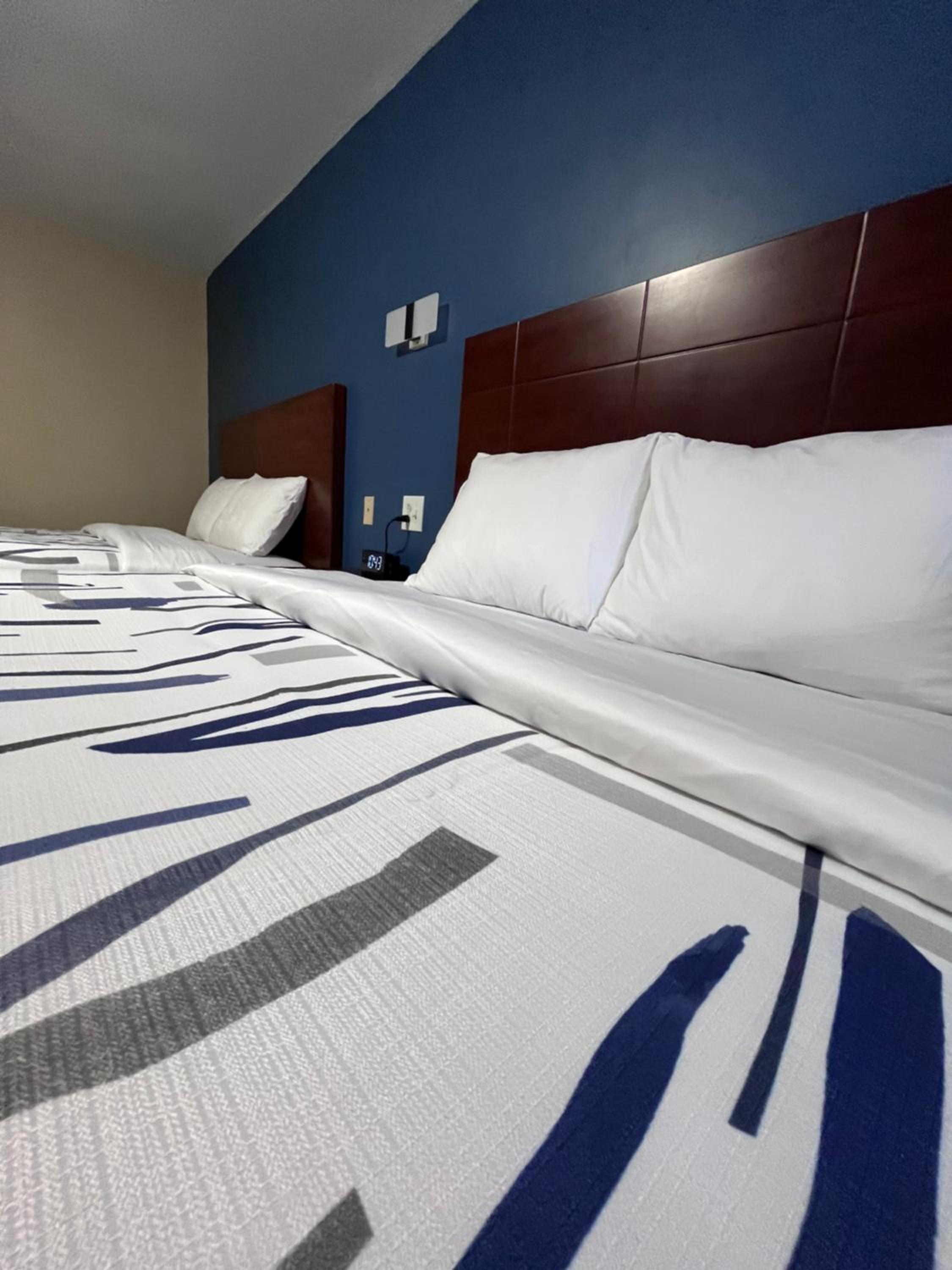 Double or Twin Room with Private Bathroom