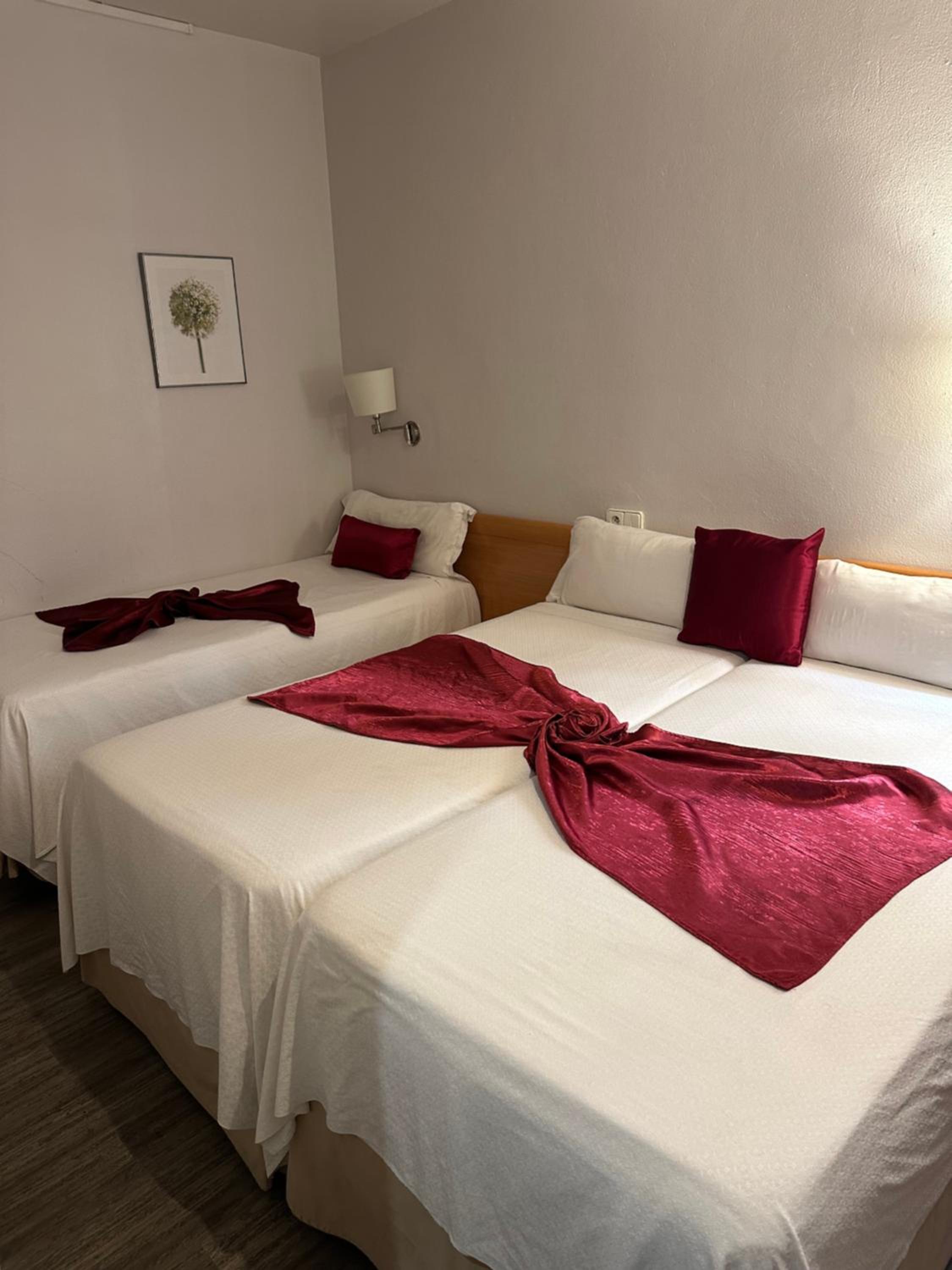 Triple Room photo 3