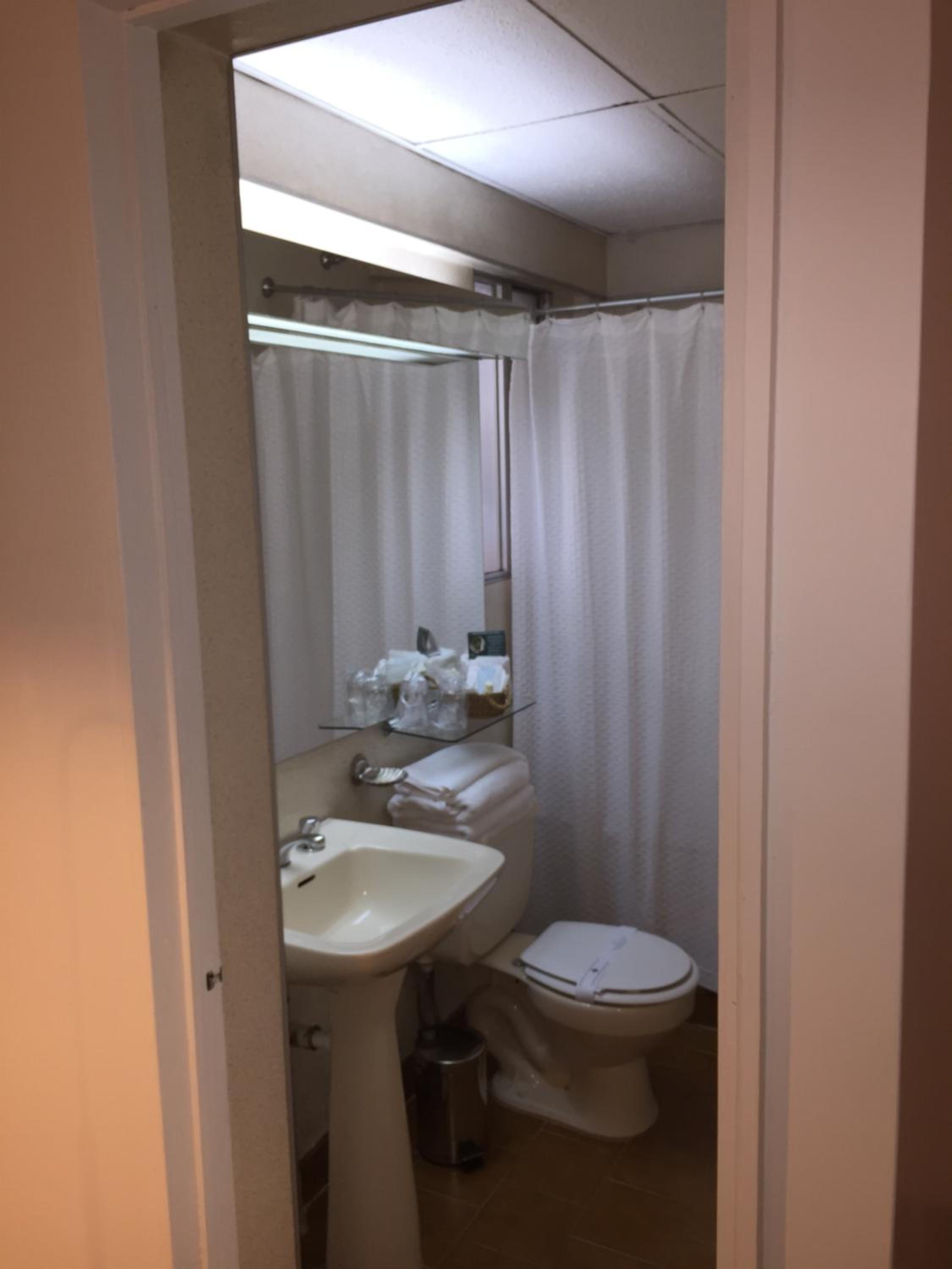 Family Suite photo 3