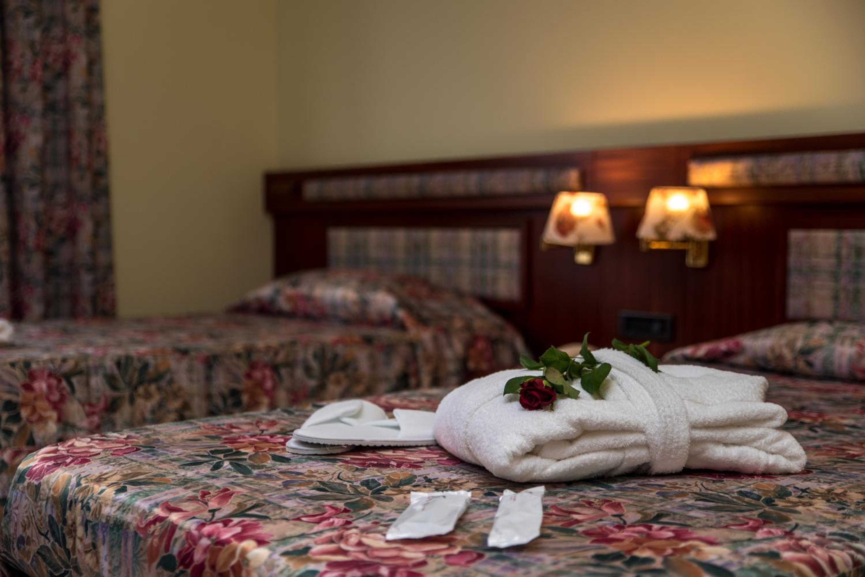 Deluxe Twin Room photo 1