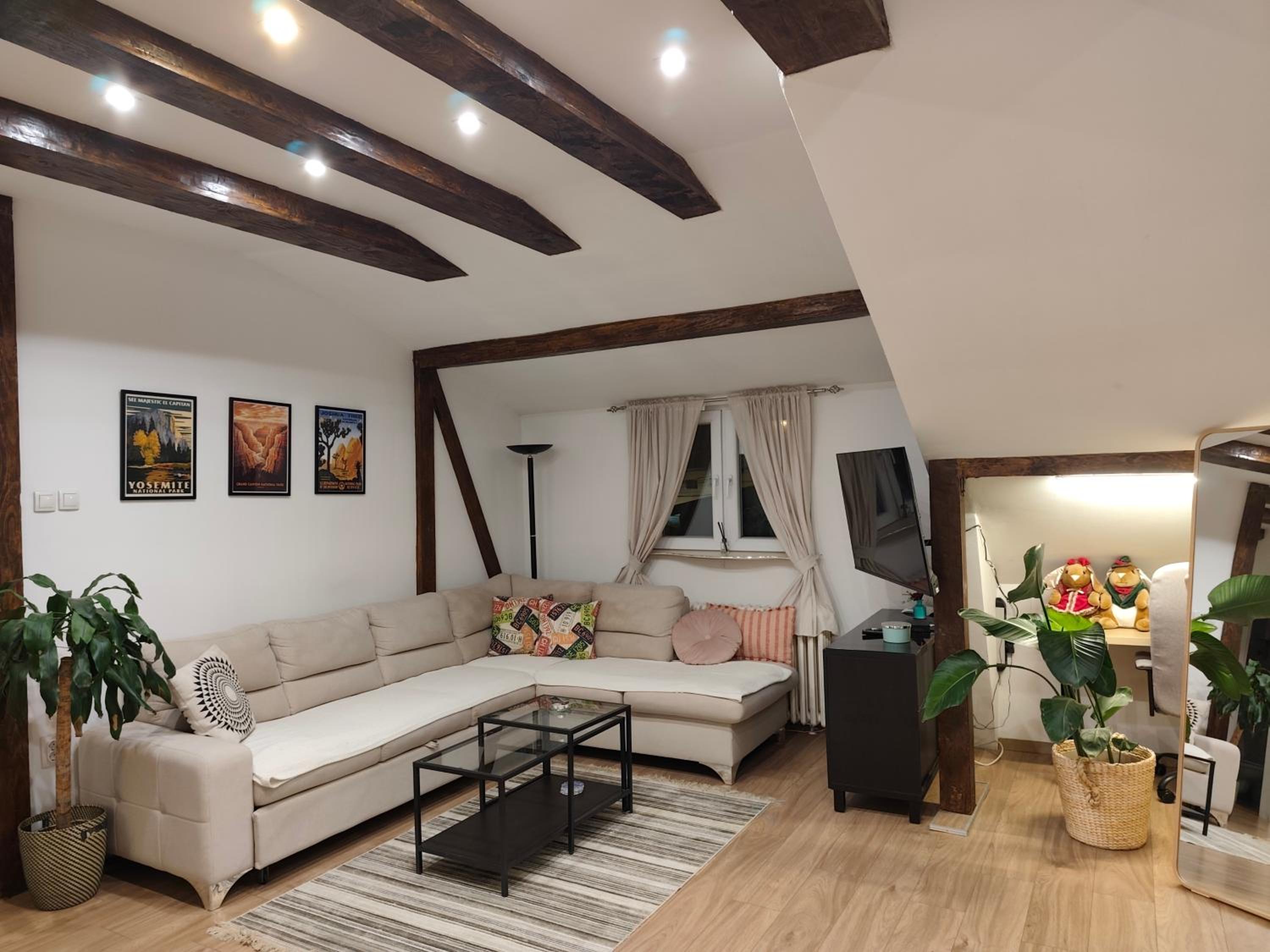 Superior Apartment with City View