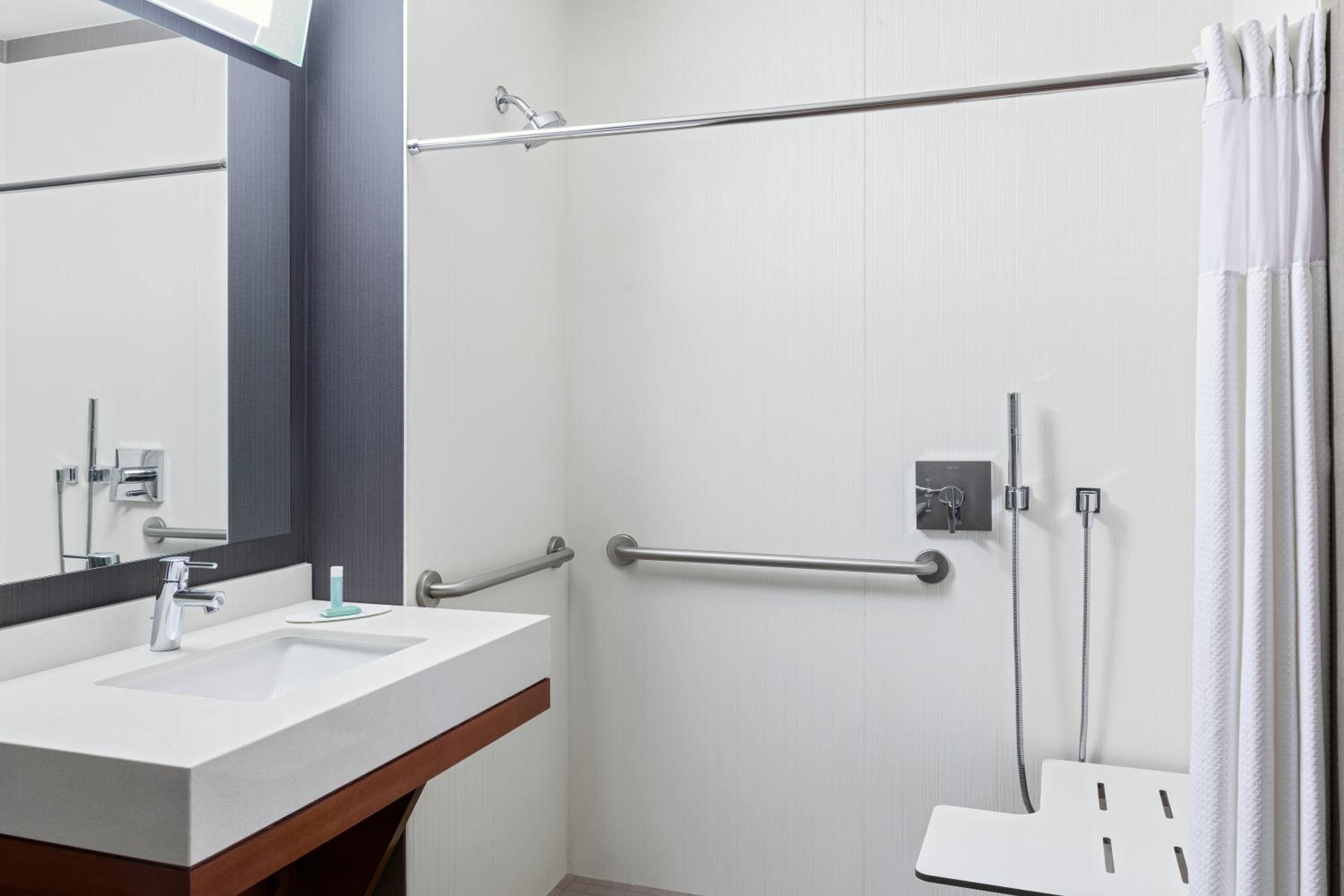 One-Bedroom Junior Queen Suite with Sofa Bed - Mobility/Hearing Accessible with Transfer Shower